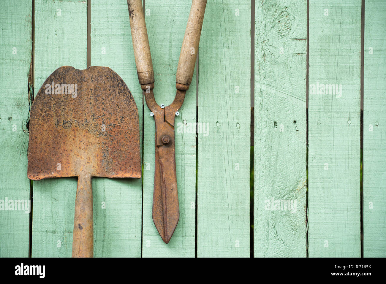 Old rusted gardening tools including a shovel and garden shears mounted on a timber garden fence painted green Stock Photo