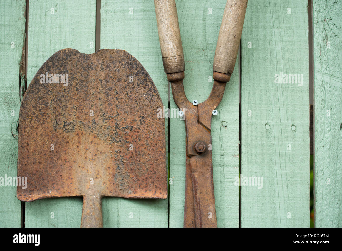 Old rusted gardening tools including a shovel and garden shears mounted on a timber garden fence painted green Stock Photo