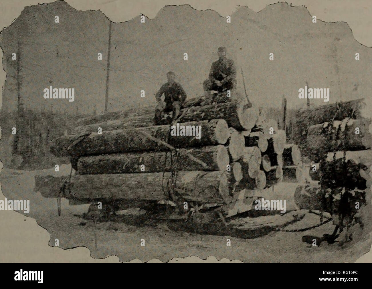 Canadian forest industries 1894-1896. Lumbering; Forests and 