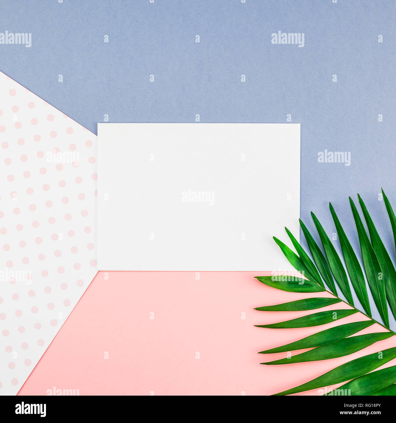 Creative flat lay top view mock up green tropical palm leaves coconuts ...