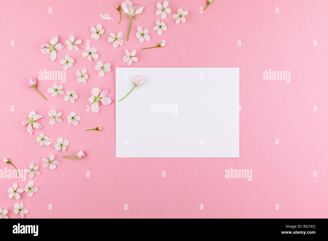 Creative flat lay concept top view of blank postcard frame mock up and ...