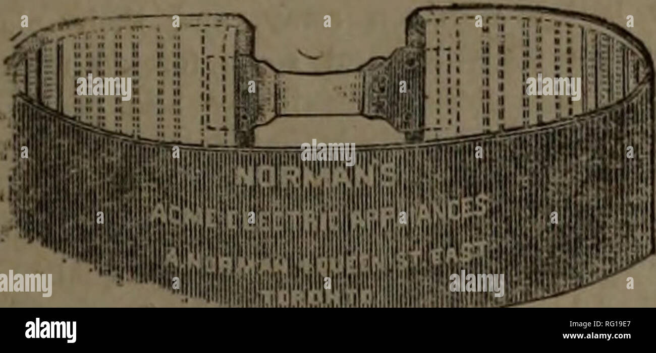 Canadian Forest Industries 1885 Lumbering Forests And Forestry