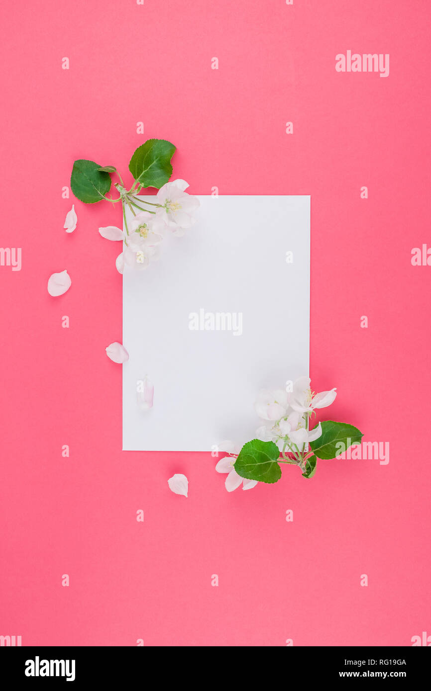 Creative flat lay concept top view of blank postcard frame mock up and ...