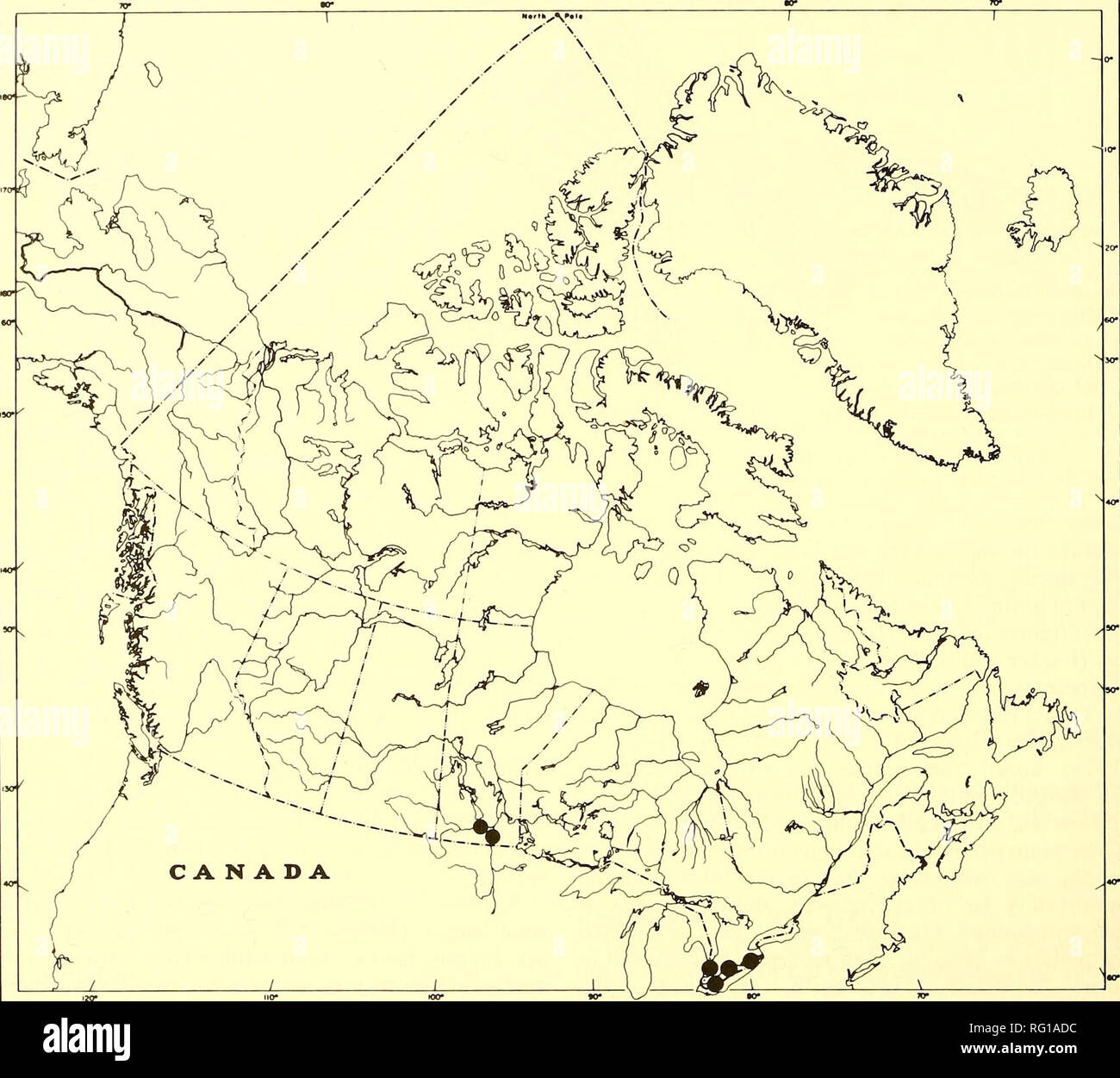 . The Canadian field-naturalist. 192 The Canadian Field-Naturalist Vol. 101. Figure 2. Canadian distribution of the Silver Chub. 1973). Kinney (1954) reported the following predators of the Silver Chub: Burbot, Lota lota, Sauger, Stizostedion canadense, and Walleye, Stizostedion vitreum. Limiting Factors Temporary hypoxic water conditions have been reported from the western Lake Erie basin on several occasions (Carr et al. 1955; Leach and Nepszy 1975), and Kinney (1954) believed that such conditions could affect Silver Chub population stability. The disappearance of a major diet component (Hex Stock Photo