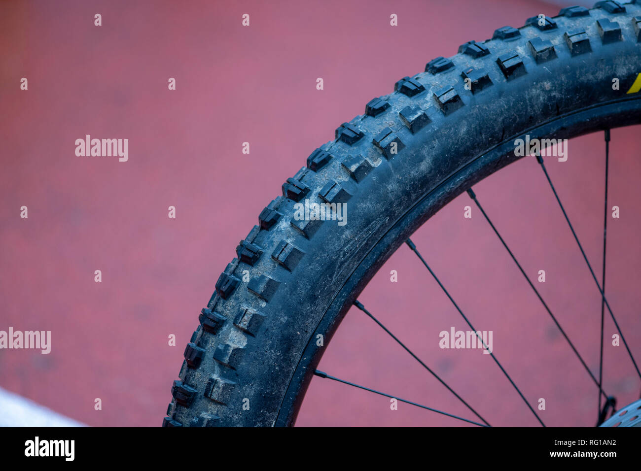 Purple mountain bike tires sale