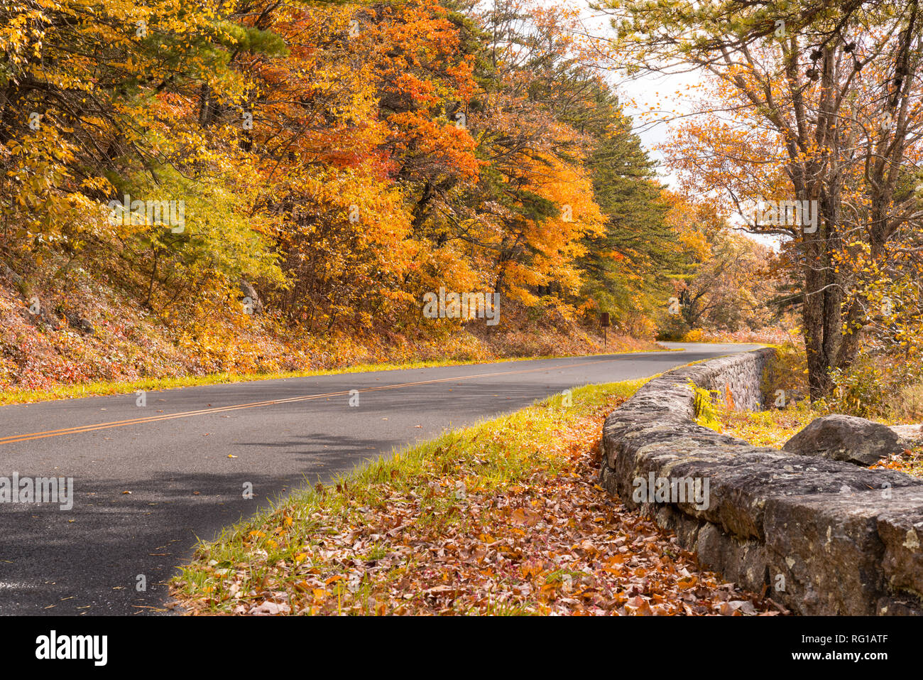 Fall foliage in Shenandoah National Park along the Blue Ridge Parkway Stock Photo