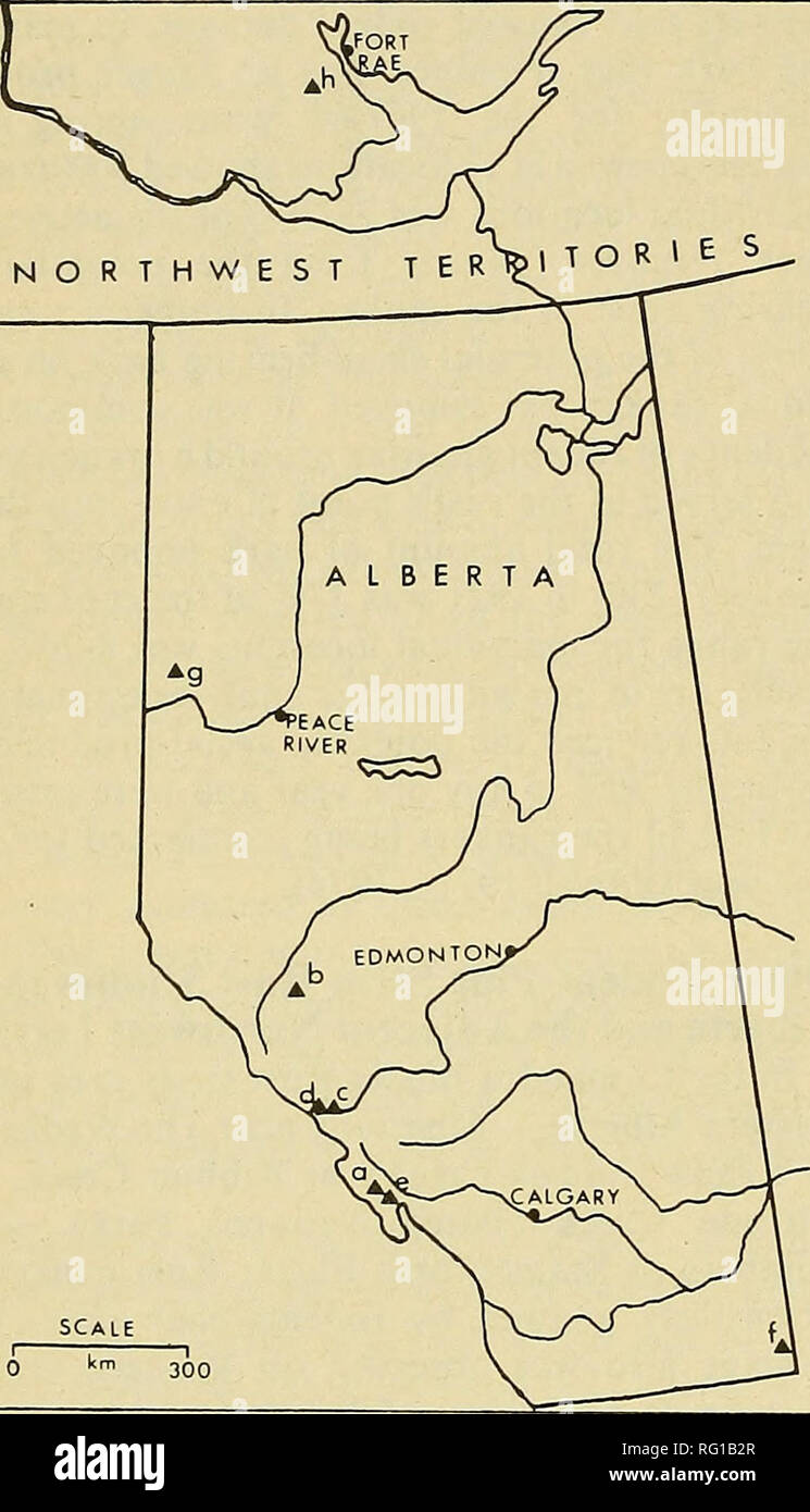 . The Canadian field-naturalist. 292 The Canadian Field-Naturalist Vol. 96. Figure 2. Locations of other rodent-pine stem rust study areas in Alberta and the Northwest Territories: a- Altrude Creek, b-Robb, c- David Thompson High- way, d-Saskatchewan River Crossing, e- Brewster Creek, f- Cypress Hills, g- Clear Hills, and h- Mile 109 of the Mackenzie Highway, near Fort Rae. coincident with an increase in infections of Comandra Blister Rust and that heavy resin flow usually accom- panied squirrel damage, which unlike hare damage was not restricted to very small trees. Baranyay and Stevenson als Stock Photo