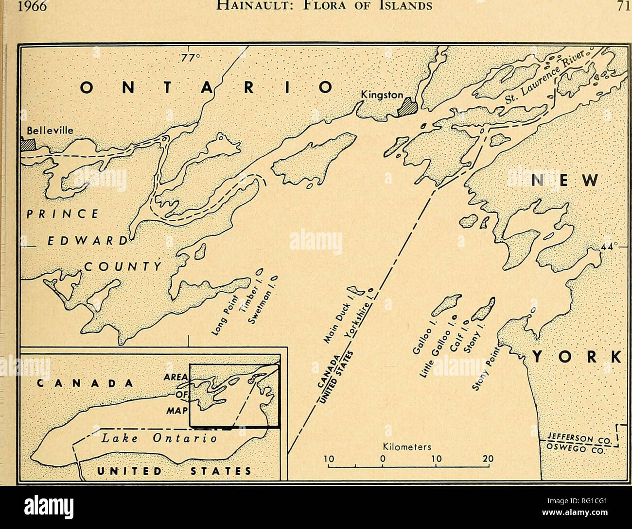 . The Canadian field-naturalist. Hainault: Flora of Islands. Figure 1. The island chain of eastern Lake Ontario. perennials, essentially the same at all places. I will mention a few: Eleocharis compressa, Ratmnculns fascicularis, Myosotis verna, hanthiis brachiatiis, Scutel- laria parvula, Satureja acmos, Hedeoma hispida, and Trioda?iis perfoliata. Southern Extensions of Boreal Species Certain widespread plants in the Canadian North become rare in southern Ontario; thus, a small forest of spruce and fir, Picea glauca and Abies balsa?mfera on Galloo Island is unusual in that it is surrounded by Stock Photo