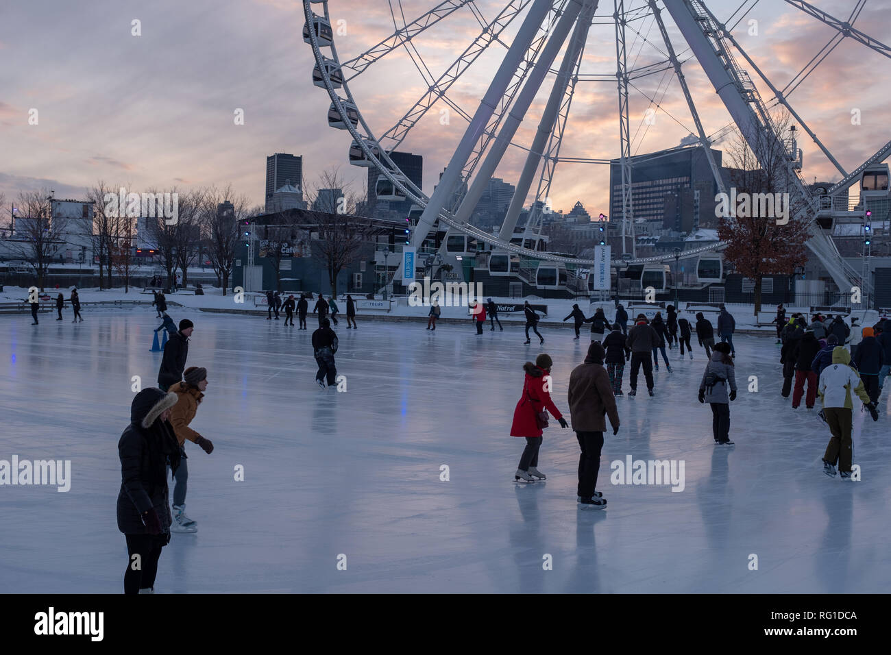 Ferris wheel and skating rink in Montreal Stock Photo Alamy