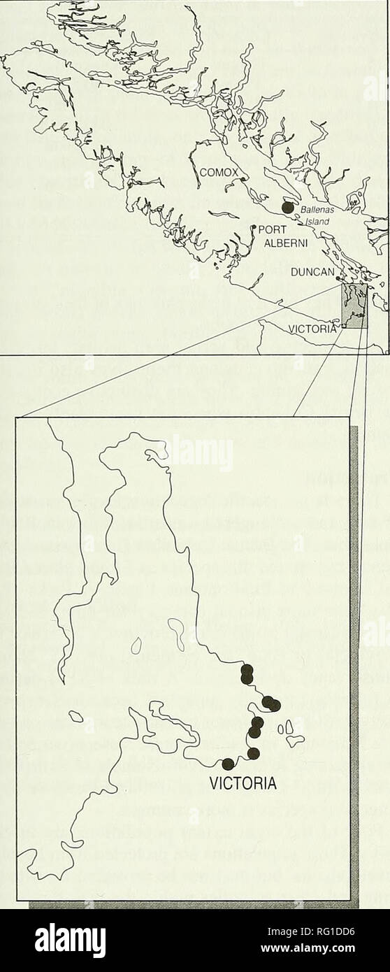 . The Canadian field-naturalist. 1998 Penny, Douglas, and Allen: Status of Bearded Owl-clover 483. Figure 2. Distribution of Triphysaria versicolor ssp. versi- color in British Columbia. are far from centers of distribution, may not be in the most suitable conditions for their growth. Only sites within extremely close proximity of the ocean in the shallow soils of rock outcrops appear to provide suit- able habitat for T. versicolor in British Columbia. On southern Vancouver Island, human distur- bance, especially urban development, seems likely to have a substantial impact. There is extensive  Stock Photo