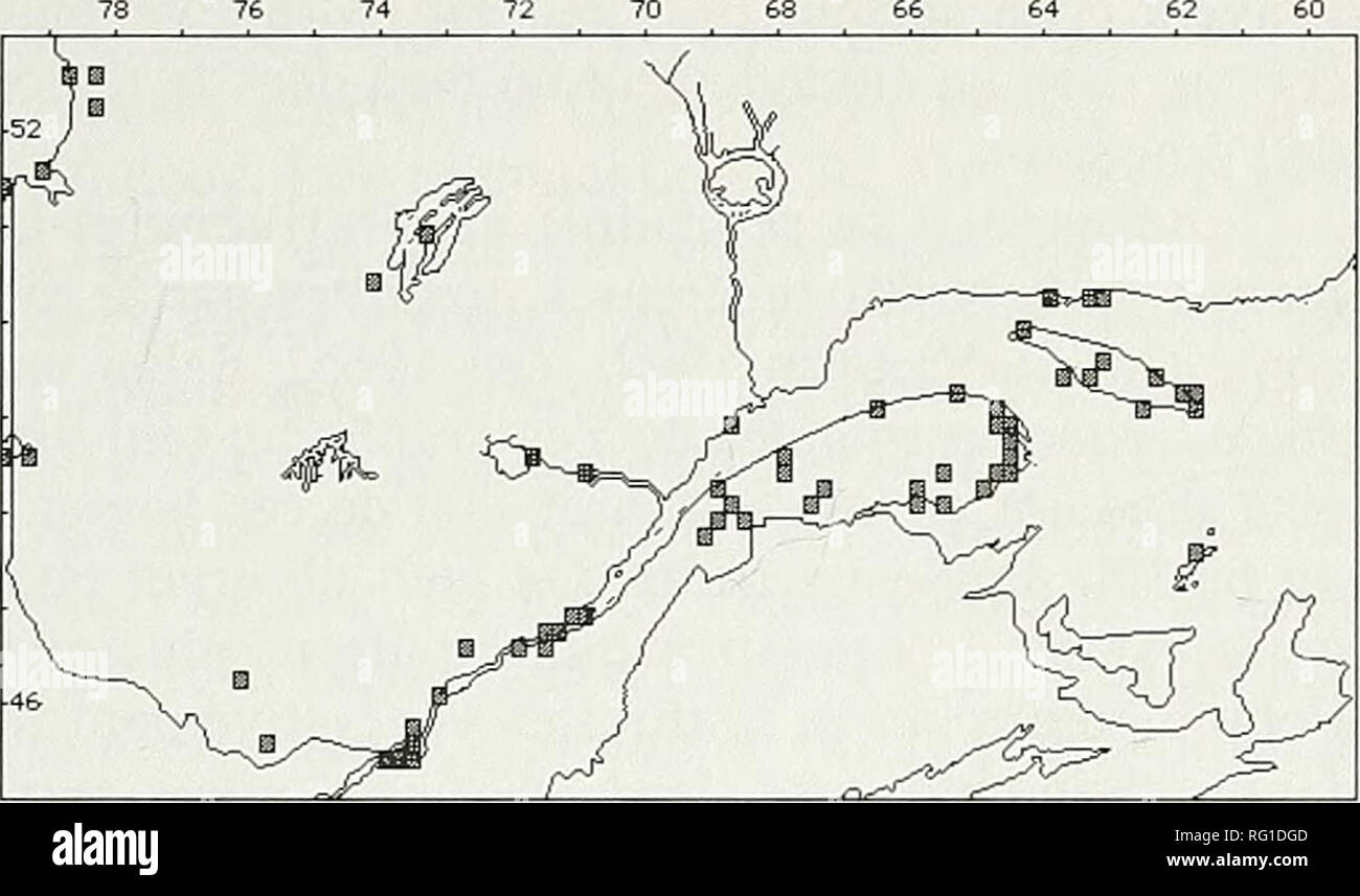 . The Canadian field-naturalist. 2000 Faubert: Les Potamogetonaceae du Quebec 377 (24) Stuckenia filiformis (Pers.) Bomer [Potamot filiforme, Threadleaf Pondweed] Des travaux recents (Les et Haynes 1996) ont pro- pose d'elever le sous-genre Coleogeton (dont faisait partie la presente espece) au rang de genre. II a alors ete signale par Holub (1997) que le nom de genre Stuckenia, propose en 1912, avait priorite. Au Quebec, ce changement affecte la presente espece ainsi que Stuckenia pectinata {P. pectinatus). On retrouve au Quebec deux sous-especes, que Ton peut distinguer ainsi: Plante courte, Stock Photo