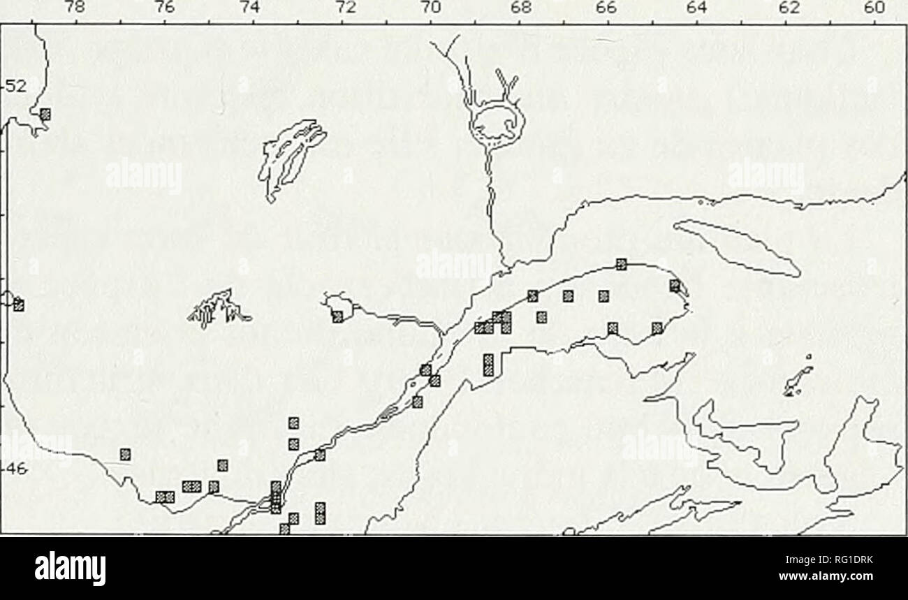 . The Canadian field-naturalist. Carte 14. Potamogeton perfoliatus. Au Quebec, P. perfoliatus est ubiquiste au sud du 49° de latitude (groupe III de Hellquist) et est locale- ment abondant. Cette abondance est en effet limitee aux milieux de predilection de la plante dans certaines regions. On la rencontre frequemment dans les riv- ieres de la plaine du Saint-Laurent ainsi que dans le fleuve lui-meme. II est interessant de remarquer que I'espece s'eloigne pen du fleuve vers le nord, ce qui marque la limite de son abondance sur le continent, abondance centree en Nouvelle-Angleterre avec des ext Stock Photo