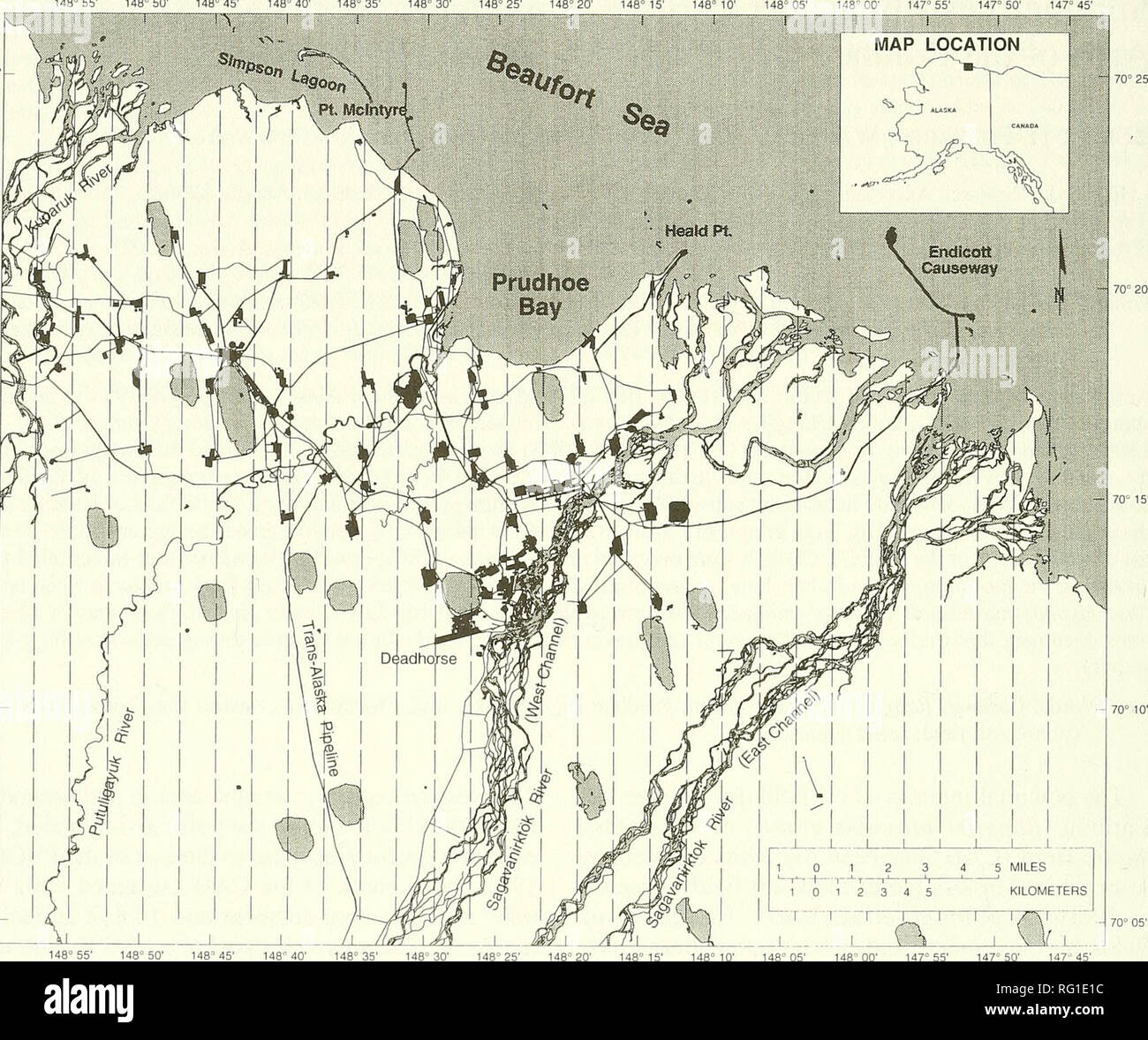 . The Canadian field-naturalist. 660 The Canadian Field-Naturalist Vol. 110. 5' 148° 10' Figure 1. Location of strip-transect centeriines for aerial surveys conducted between 26 June and 8 August, 1990-1994, Prudhoe Bay oil field, Alaska. Solid lines are roads or pipelines and rectangles are gravel pads which support oil field facilities. In contrast to the calving period, the PBOF may have been used frequently by Caribou during the post-calving period (late June through early August) prior to oil field development (Child 1973*; Whitten and Cameron 1983a). Child (1973*:7) identified extensive  Stock Photo