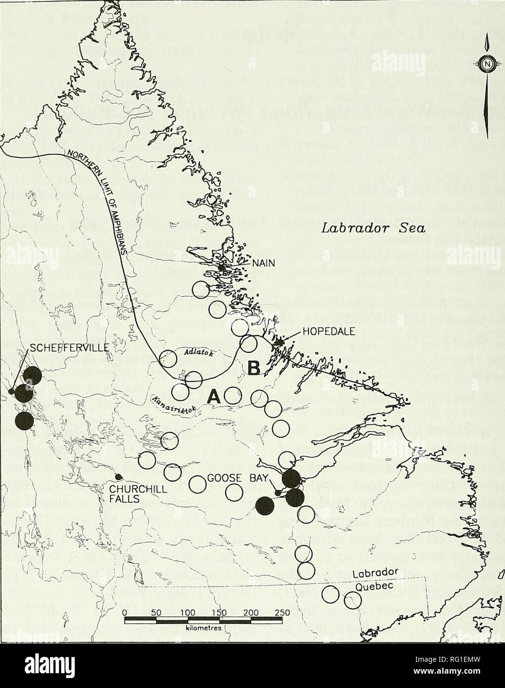 . The Canadian field-naturalist. 330 The Canadian Field-Naturalist Vol. 112 Labrador Sea. Figure 1. Distribution of the Wood Frog in Labrador. Darkened circles show locations described by Maunder (1983). Open circles show search areas with A and B indicat- ing confirmed sightings on the Kanairiktok and Adlatok rivers respectively. Northern limit of Amphibians after Maunder (1983). lated populations along the northern edge of the mid- subarctic forest ecoregion. As indicated by Maunder (1997), further study is required to precisely deter- mine the distribution of amphibians in Labrador. Acknowl Stock Photo