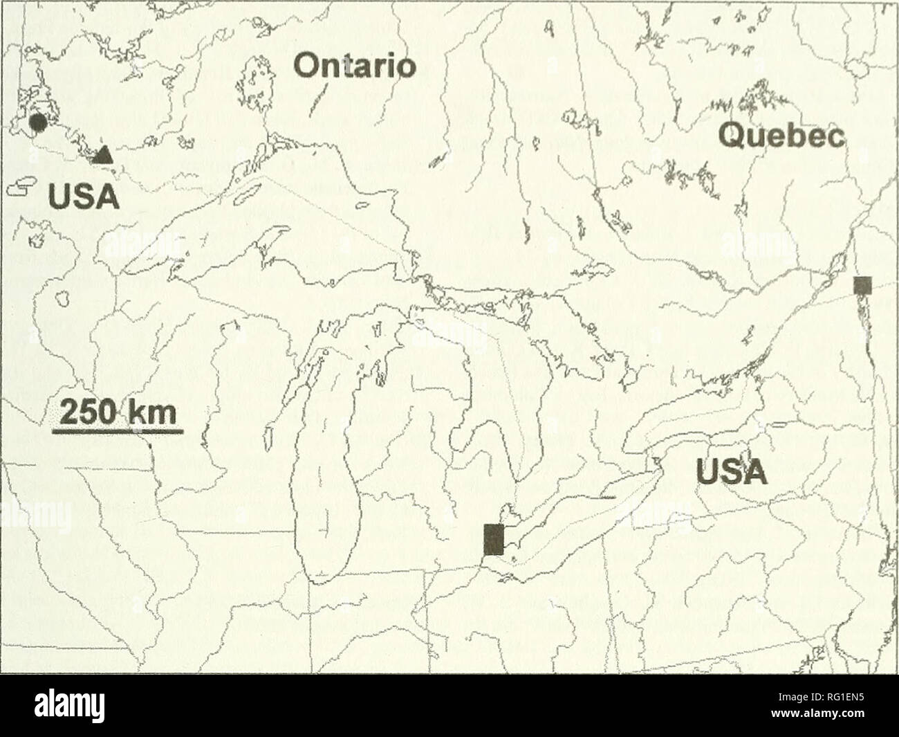 . The Canadian field-naturalist. 2004 Smith. Douglas, and Harris: Small-flowered Lipocarpha 83 T^? %A-^^ TJ. Figure 3. Distribution of Lipocarpha micrantha in Ontario and Quebec. Sable Island is shown as a circle, Poundnet Bay as a triangle. Squares denote extirpated populations. relatively small, both in number and area, and there- fore are vulnerable to environmental disturbance. If development at any of the remaining populations pro- ceeds without consideration for this species it will very likely be extirpated from Canada. In particular, altera- tion of natural water level cycles could res Stock Photo