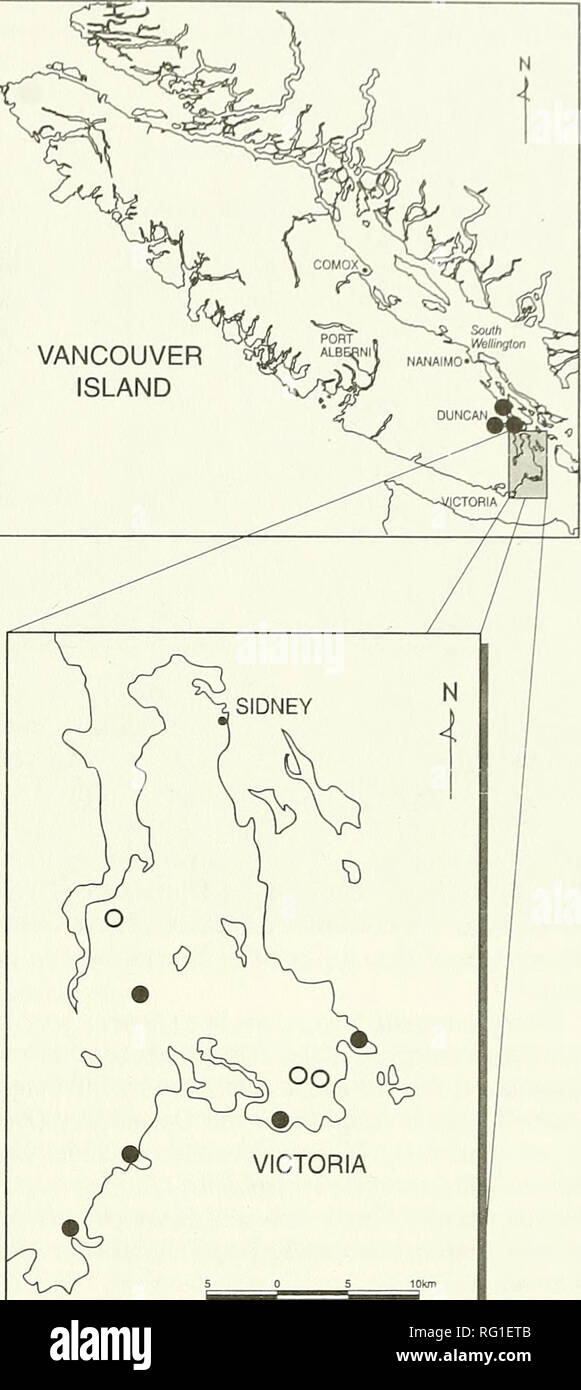 . The Canadian field-naturalist. . Figure 2. Distribution of Triteleia howellii in British Col- umbia (o - extirpated sites, • - recently confirmed sites). Figure 1. Illustration of Triteleia howellii (Line drawing in Pojar2001). extremely rich low shrub and herb stratum is present during the spring. The most prominent species in the Cowichan Garry Oak Preserve Garry Oak stand are Sanicula crassicaulis var. crassicaulis and Dactylis glomerata (Douglas et al. 2002*). Other species with moderate to high constancies associated with T. how- ellii include Common Camas {Camassia qiiamash). Bronius s Stock Photo