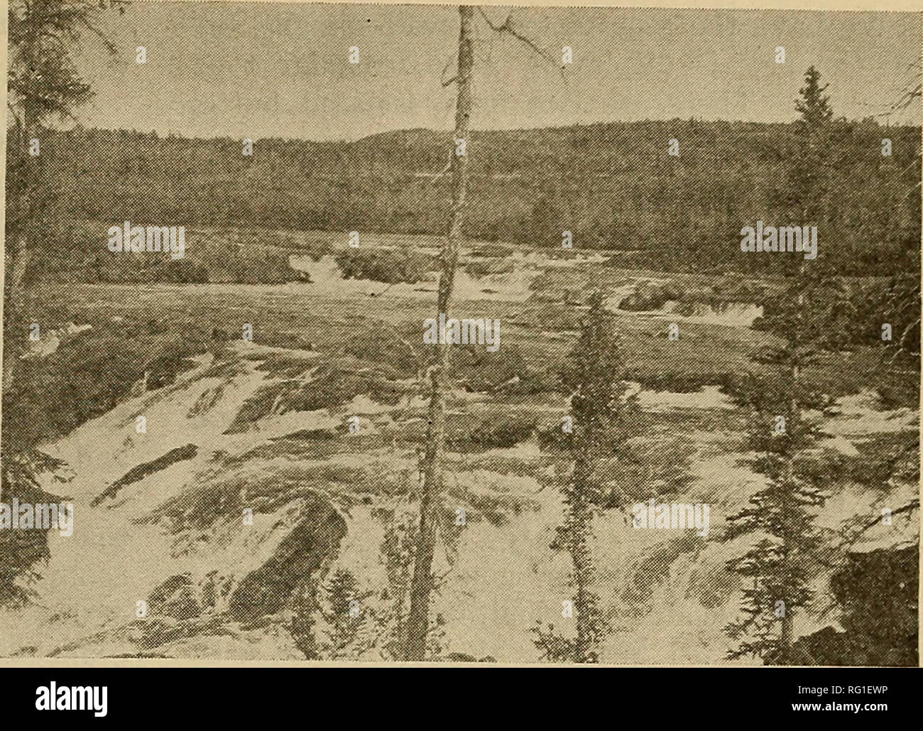 The Canadian Field Naturalist April 1926 The Canadian