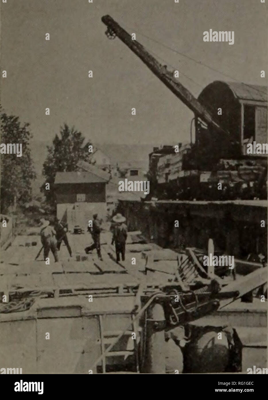 . Canadian forest industries 1916. Lumbering; Forests and forestry