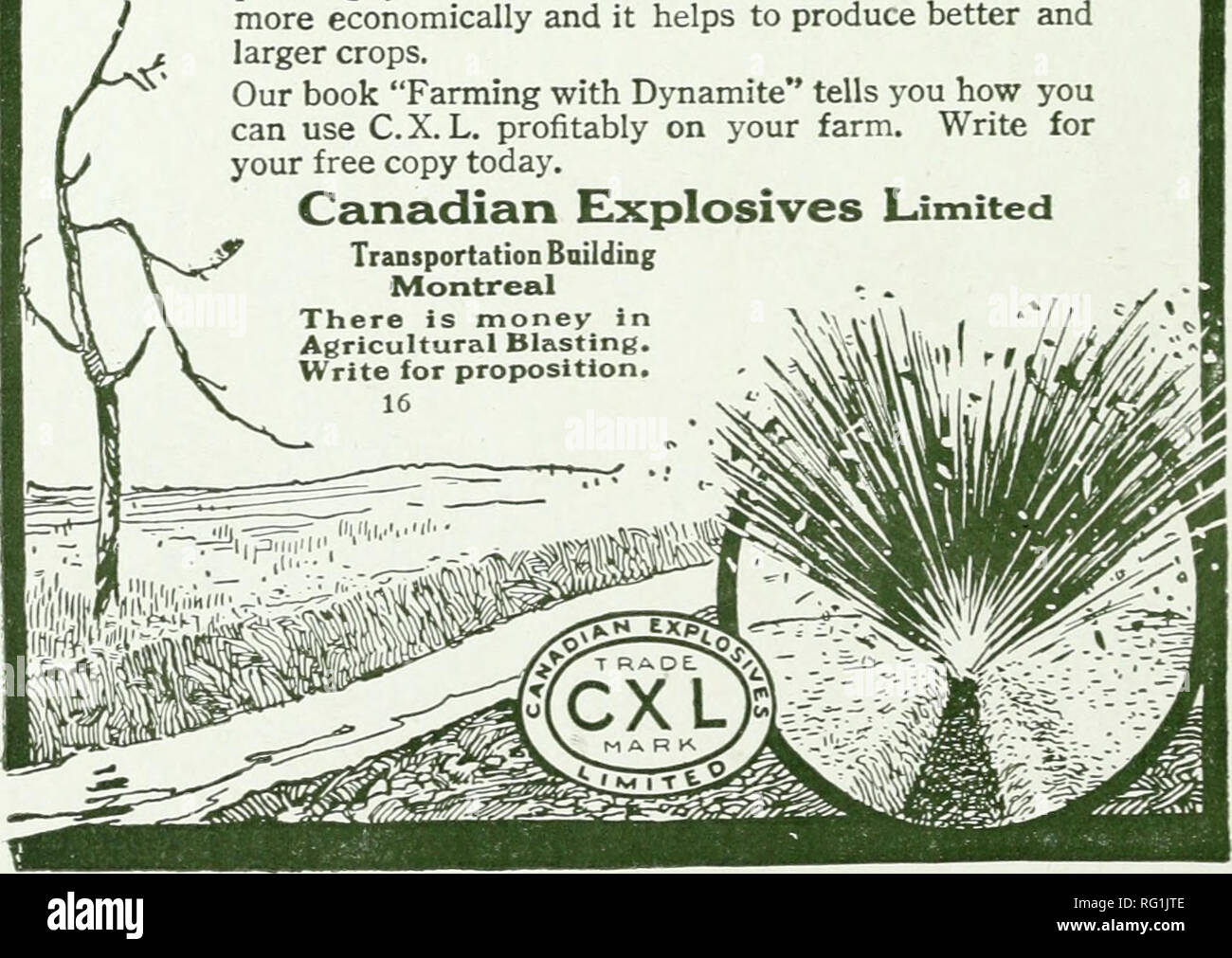 . Canadian forestry journal. Forests and forestry -- Canada Periodicals. 304 Canadian Forestry Journal, June, 1920. been made around one area northeast of the Copeau river, about half a township in extent, and one bordering McDonald creek about a township in extent. Surveyor Christie is super- intending the work of the Copeau Riv- er area and Surveyor Cummings the other. It is expected that the big fires will be started in about a week. As to the Porcupine for a place of settlement. Mr. McFayden states that he was surprised to find how much better the soil was than he had been led to expect. T Stock Photo