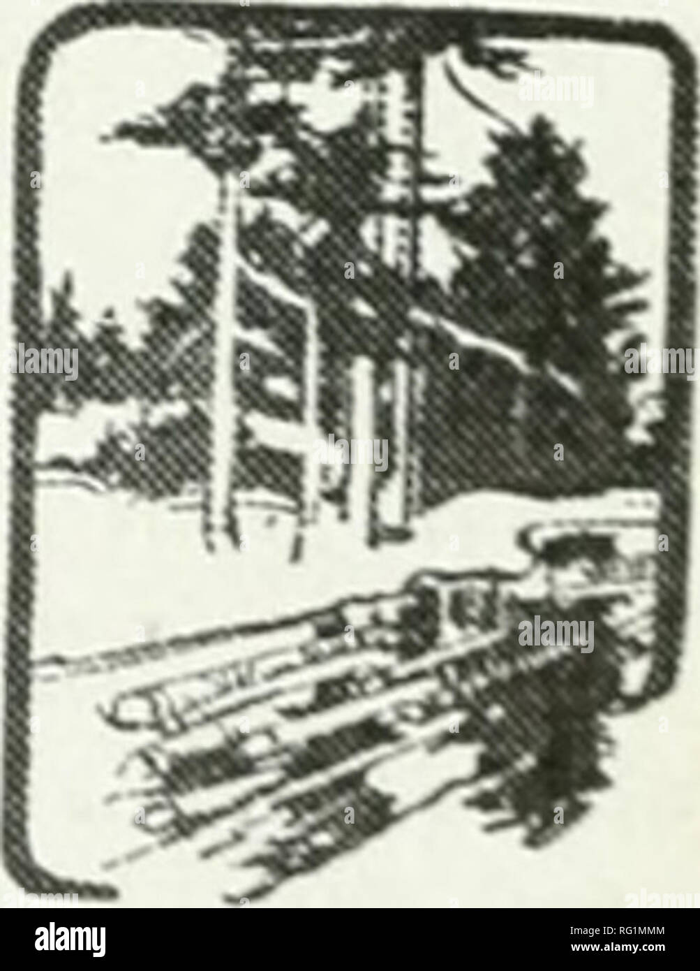 . Canadian forestry journal. Forests and forestry -- Canada Periodicals. By W. W. Colton, City Forester of Nexvion, Mass., U.S.A. How to Estimate Compensation for Ruined Trees.—One Dollar an Inch of Basal Area.. How are we to determine the value of our individual shade trees? It is generally admitted that shade trees are valuable not only from an economic standpoint, but also from their aesthetic, historic and phys- ical properties, but as my purpose is to show that there must be some definite method of de- termining their value, I am going to consider only the economic value. The development  Stock Photo