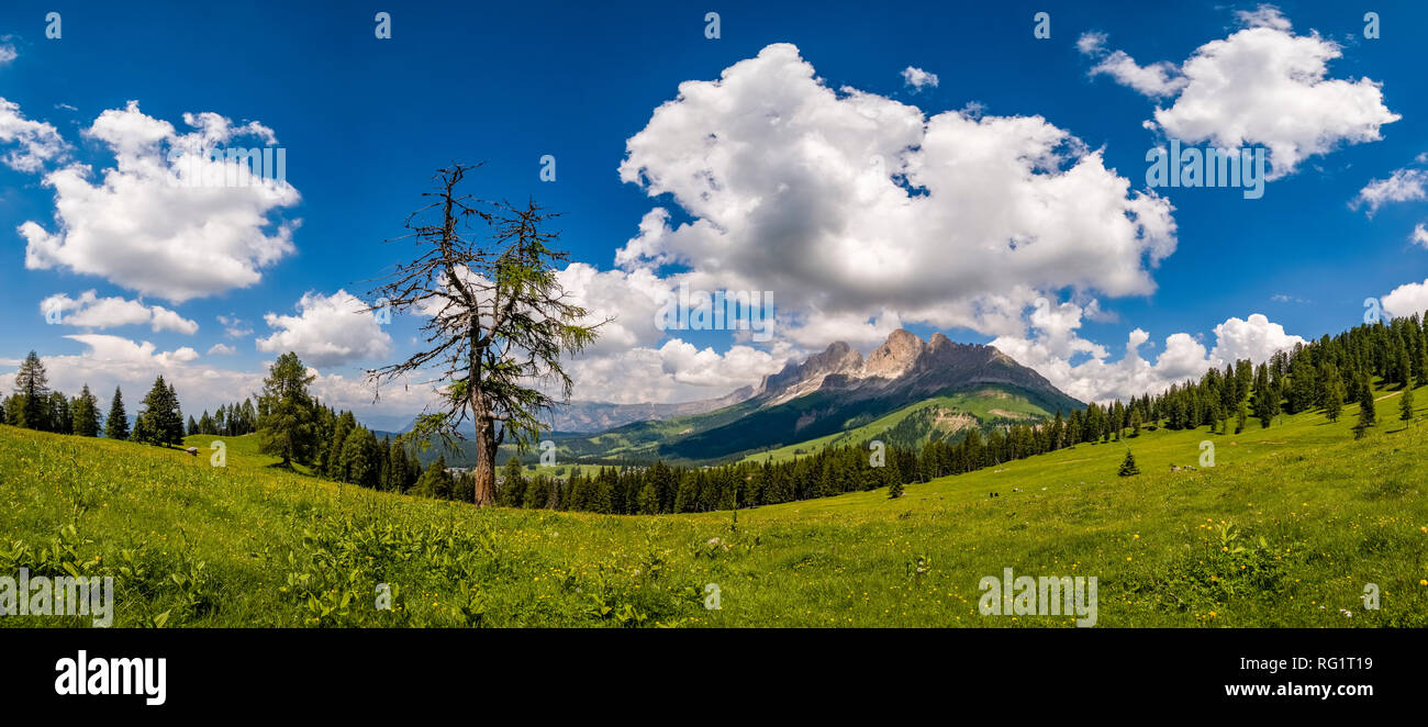 Panoramic view of the mountains Rosengarten group, Catinaccio, seen from the pastures of Alm Latemar Stock Photo