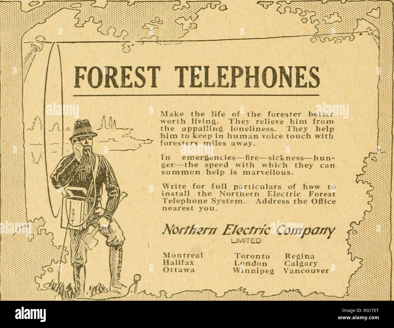 Canadian Forestry Journal Forests And Forestry Canada