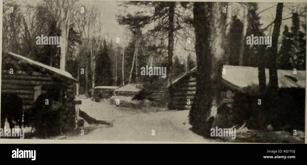 Forestry foundations hires stock photography and images Alamy