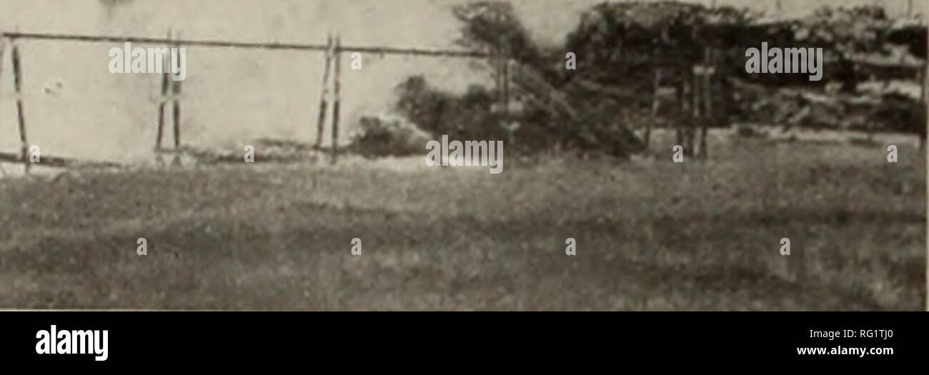 Nepisiguit river hires stock photography and images Alamy