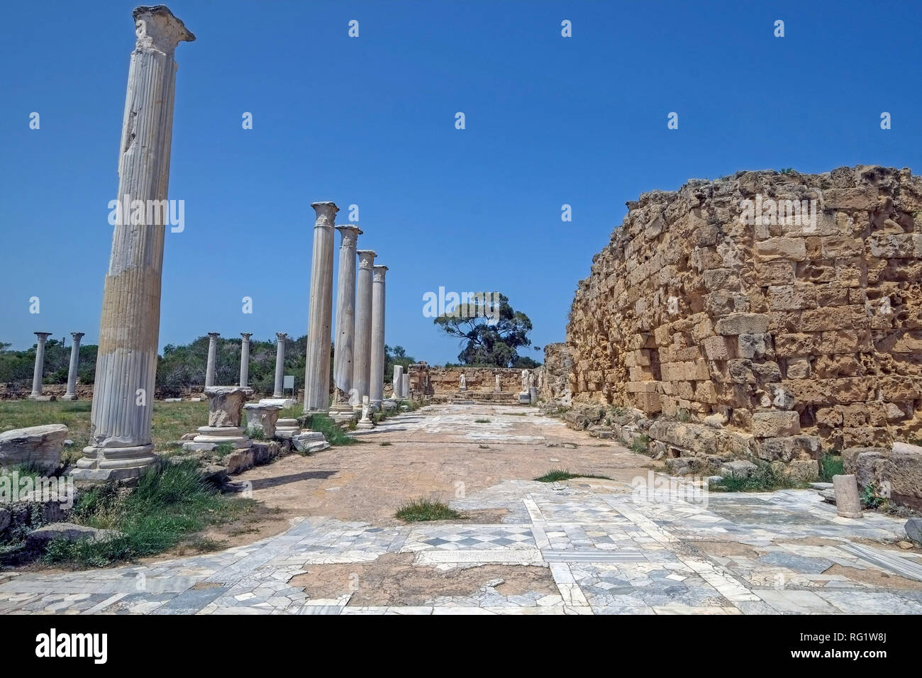 Salamis is an ancient Greek citystate on the east coast of Cyprus, at