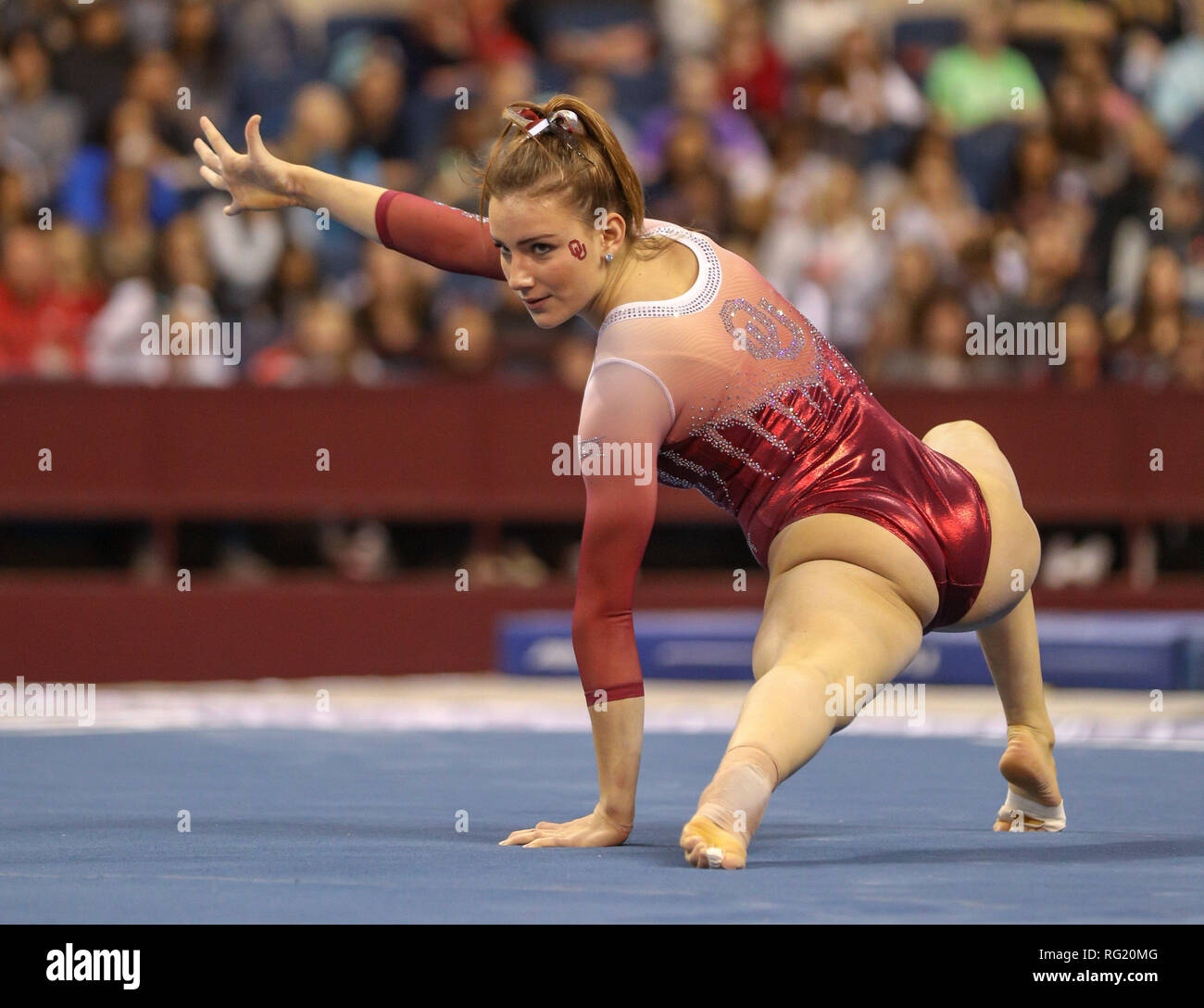 Fort Worth, Texas, USA. 26th Jan, 2019. Oklahoma's Anastasia b, who
