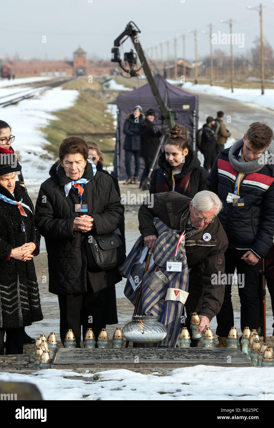 Oswiecim, Poland. 27th Jan, 2019. Holocaust survivors and their relatives place candles on a plaque in the former German concentration camp Auschwitz-Birkenau during the International Holocaust Memorial Day ceremony. Credit: Bernd Thissen/dpa/Alamy Live News Stock Photo