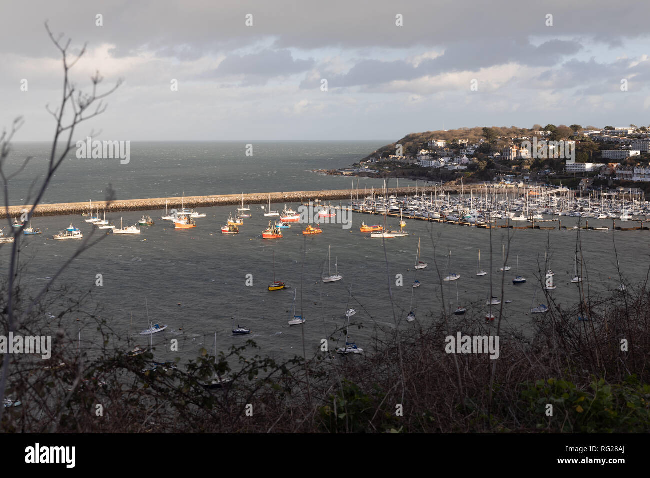 Brixham, Devon, UK. 27 January 2019. Sunny scene of Brixham Harbour as