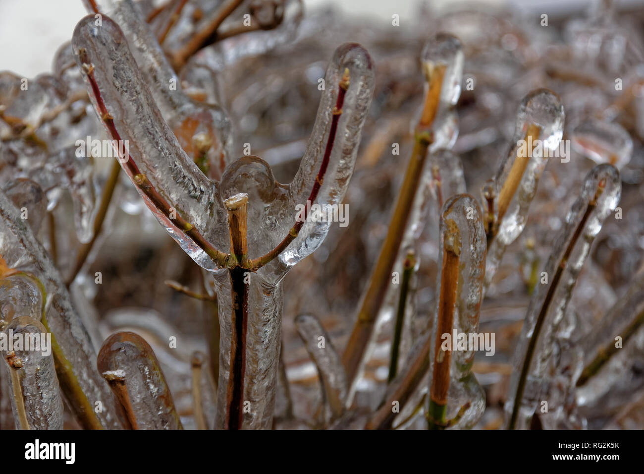 Freezing rain in Bucharest Stock Photo