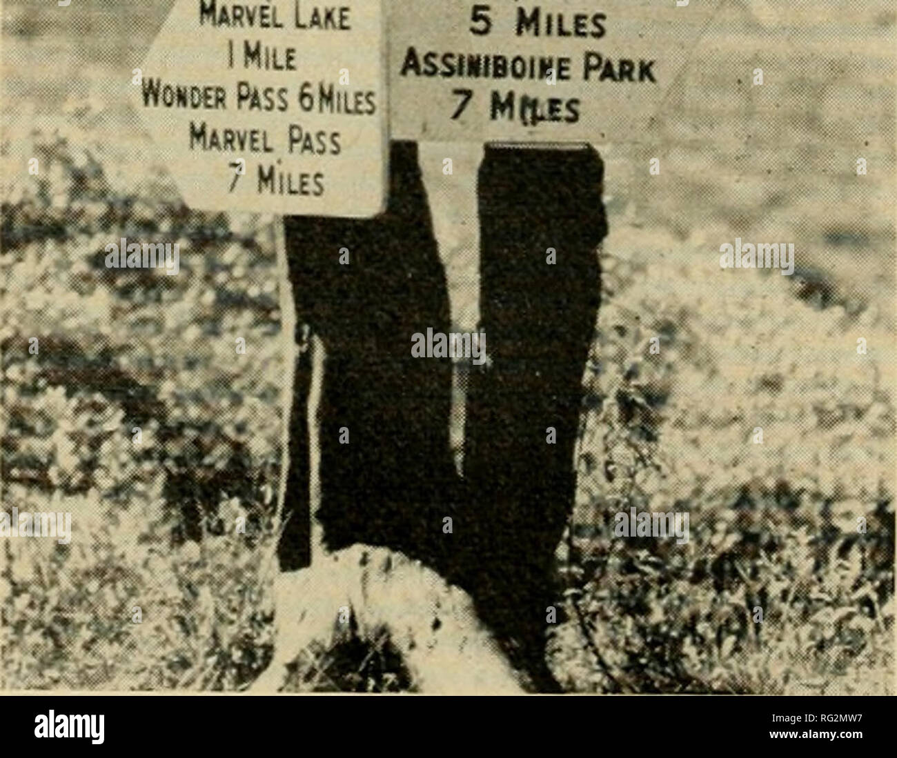 A History in Photographs Canadas Rocky Mountains