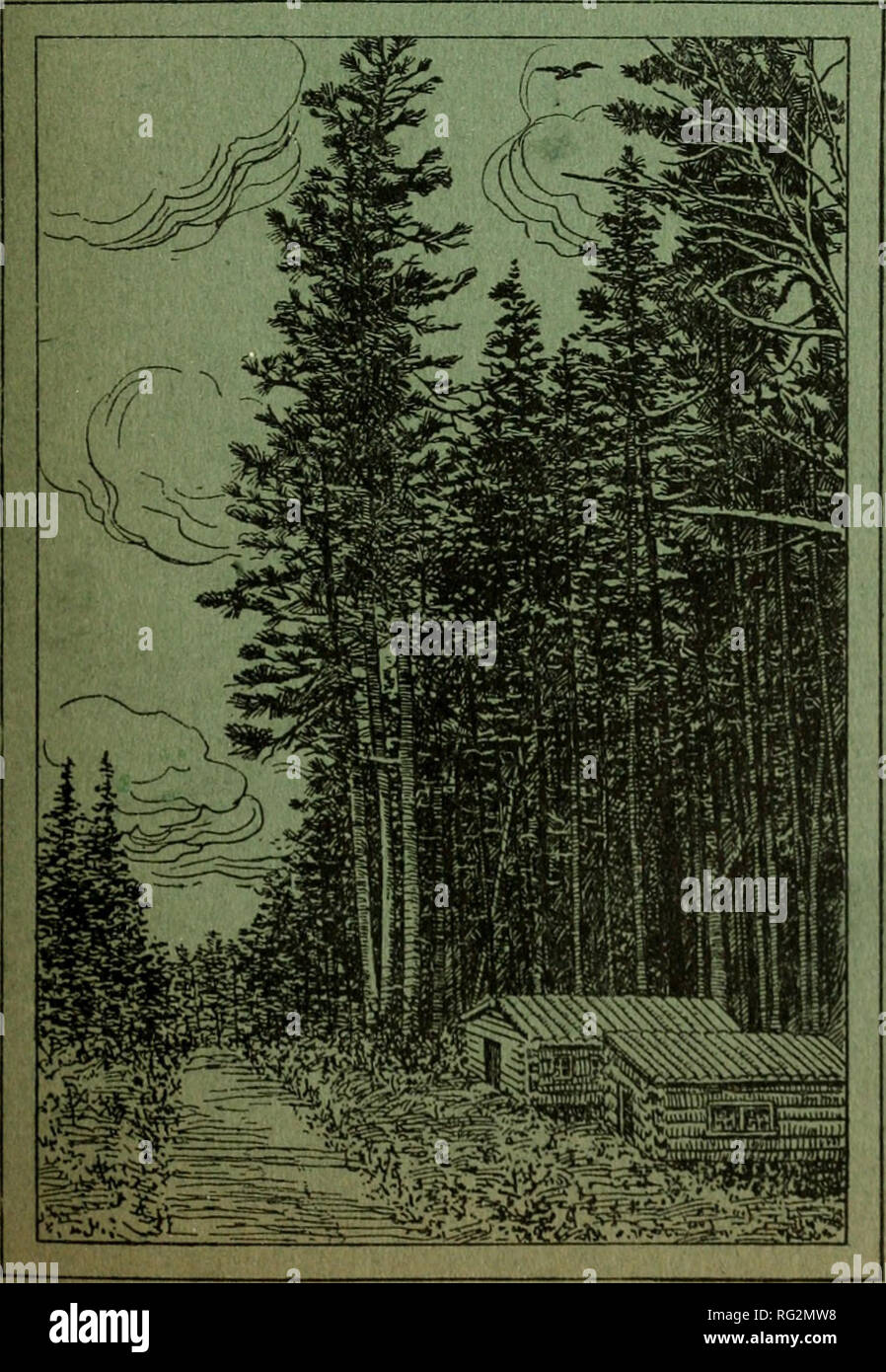 Canadian Forestry Journal Forests And Forestry Canada