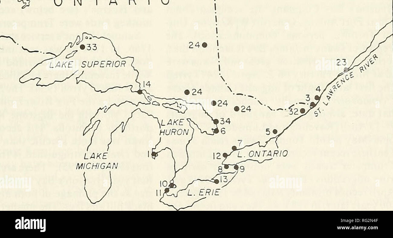 . The Canadian field-naturalist. 30 &quot;^ ONTARIO. Figure 1. Locations mentioned in the text. 1. Saginaw Bay, Michigan, 2. Attawapiskat,3. Coteau-du-lac, 4. Montreal, 5. Loughborough Lake, 6. Midland area, 7. Draper Site, 8. Grimsby Site, 9. Niagara Falls, 10. Lake St. Clair, 11. Detroit, 12. Toronto, 13. Long Point, 14. St. Mary's River, 15. Fort Albany, 16. Churchill, 17. York Factory, 18. Moose Factory, 19. Fort Severn, 20. Fox River, 21. Eastmain Fort, 22. Fort George, 23. Quebec City, 24. Swan Lake (7 locations), 25. Bearskin Lake, 26. Little Sachigo Lake, 27. Stull Lake, 28. Echoing La Stock Photo