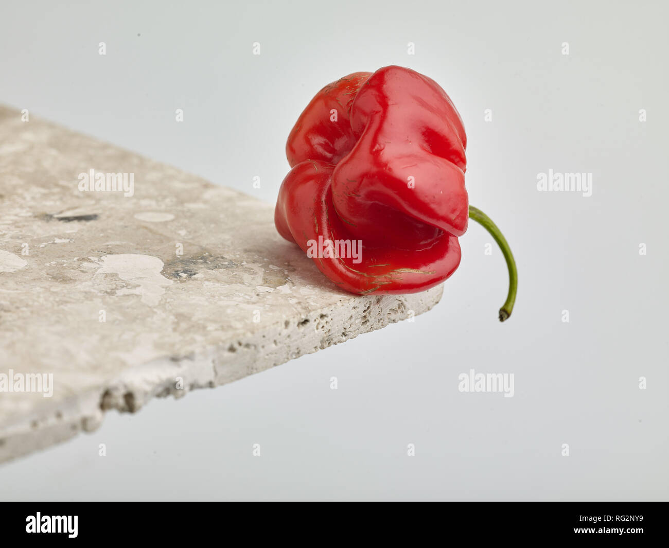 Colourful Scotch Bonnet hot pepper, food still-life photograph Stock Photo