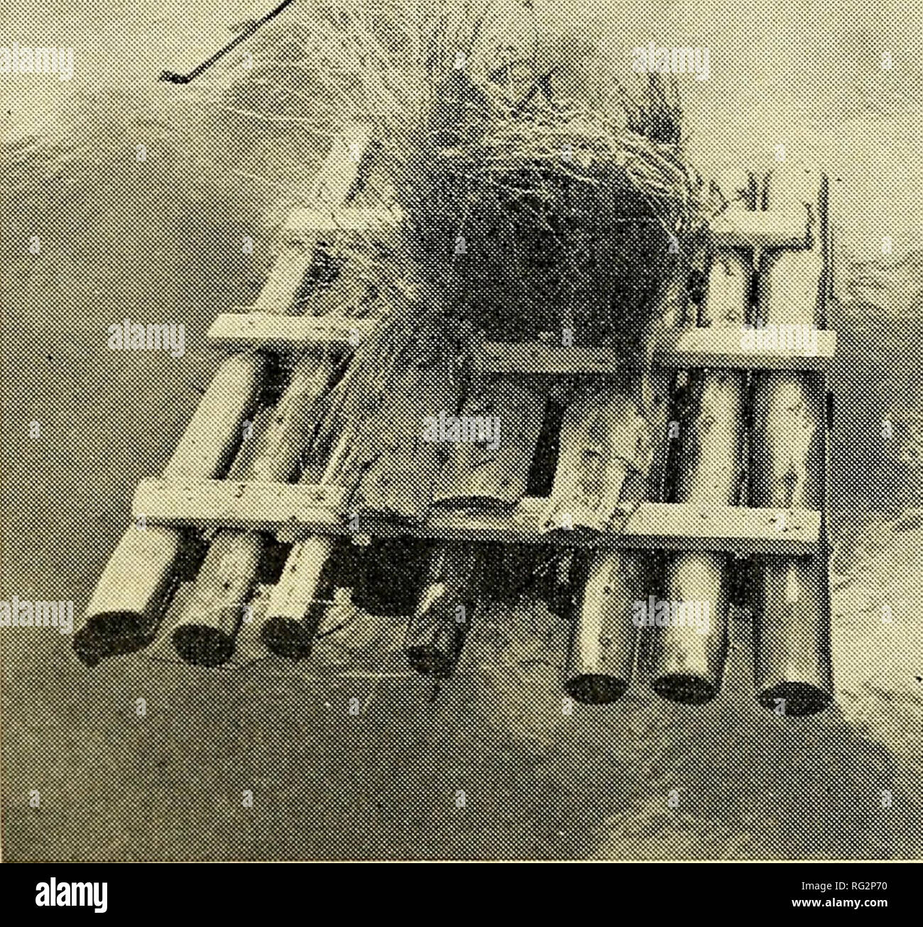 . The Canadian field-naturalist. Notes A Nesting Raft for Ducks ...