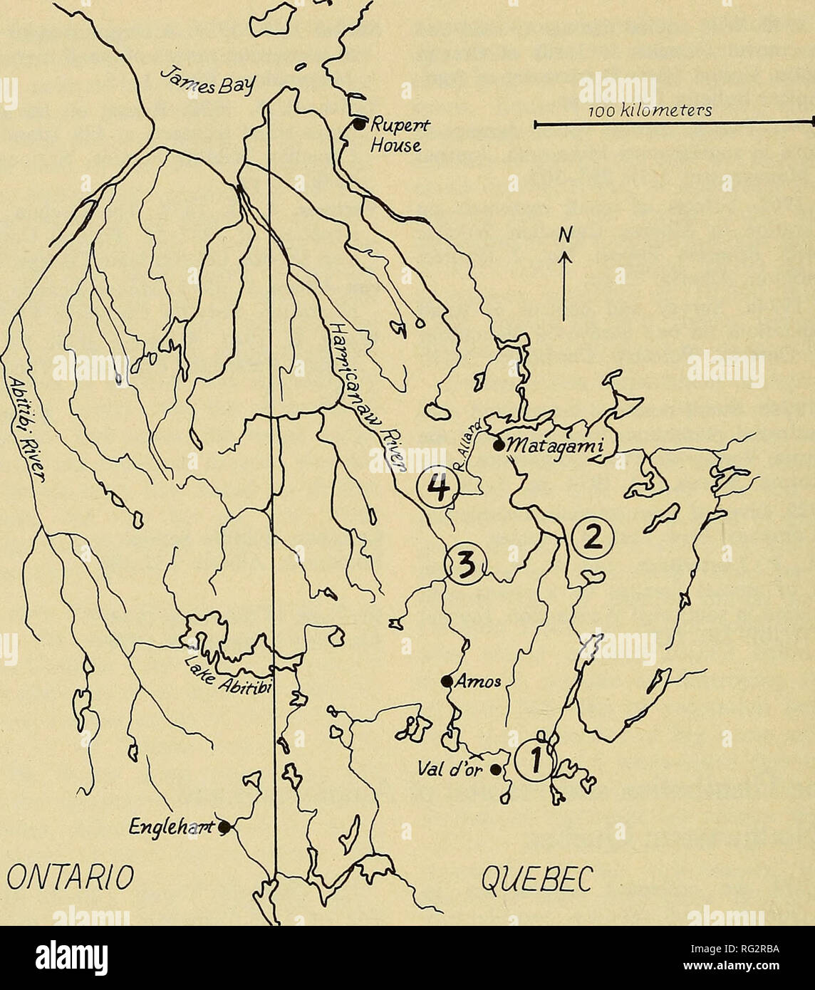 . The Canadian field-naturalist. 58 The Canadian Field-Naturalist Vol. 89. ONTARIO Figure 1. Map showing some localities mentioned in the text. 1 = Louvicourt Camp, 2 = Lac Cameron Camp, 3 = Chaste Township Camp, 4 = Douay Township Camp. Species Accounts Blue-spotted Salamander. {Ambystoma la- ter ale). Abundant at all camps, and taken at several other localities. Most were taken in min- now traps in roadside ditches or ponds, adjacent to fairly mature spruce or deciduous forests; we took a few under logs in such habitats, and found many crossing the road a few kilometers south of the Douay To Stock Photo