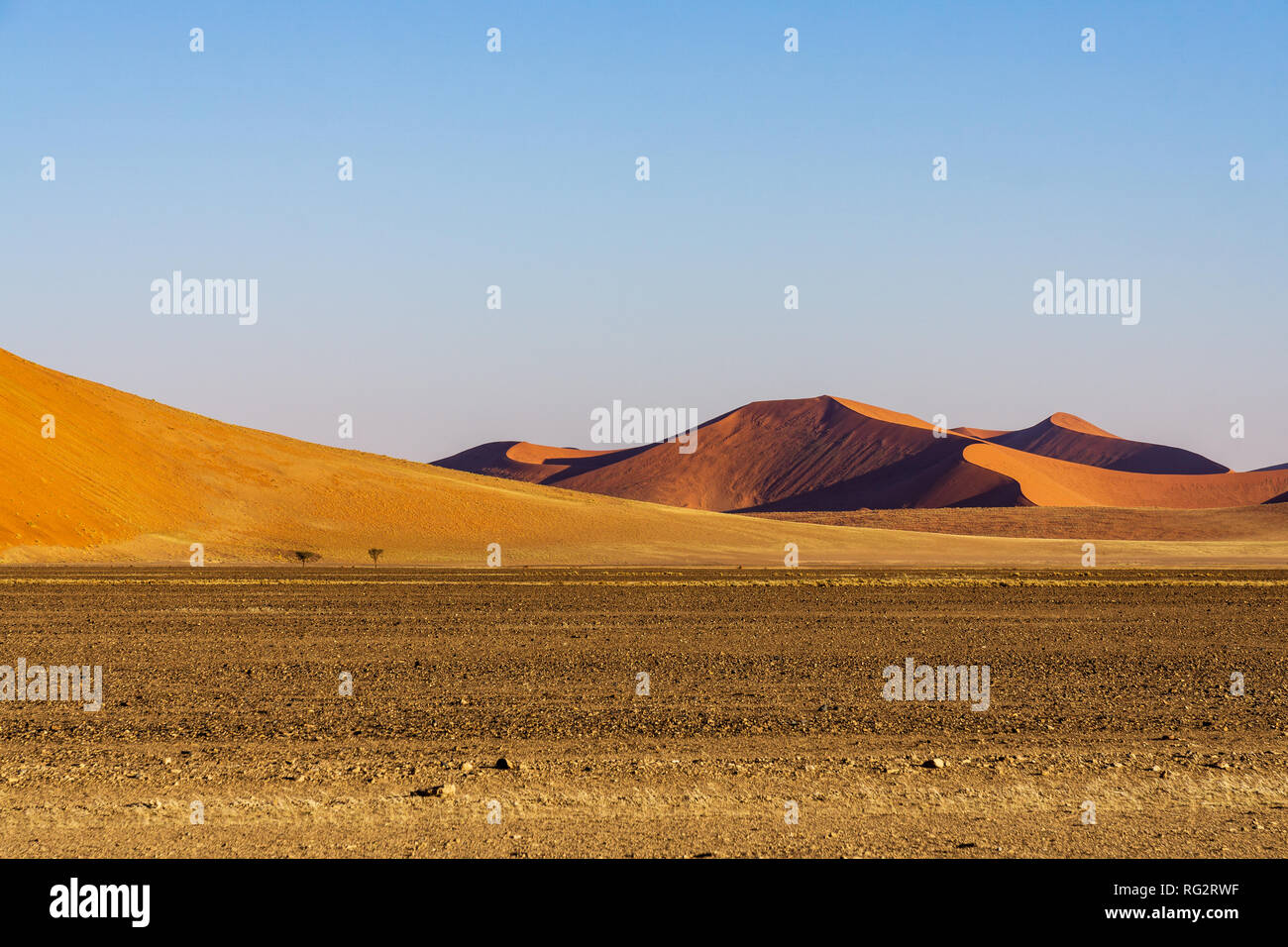 Beautiful sand dunes in the Sahara desert adventure Stock Photo - Alamy