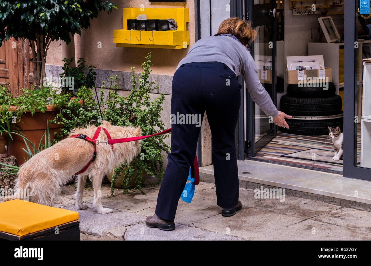 Woman standing outside open doorway, holding dog on lead, trying to coax cat out of door, rear view, Palermo City, Sicily, Italy, Europe Stock Photo