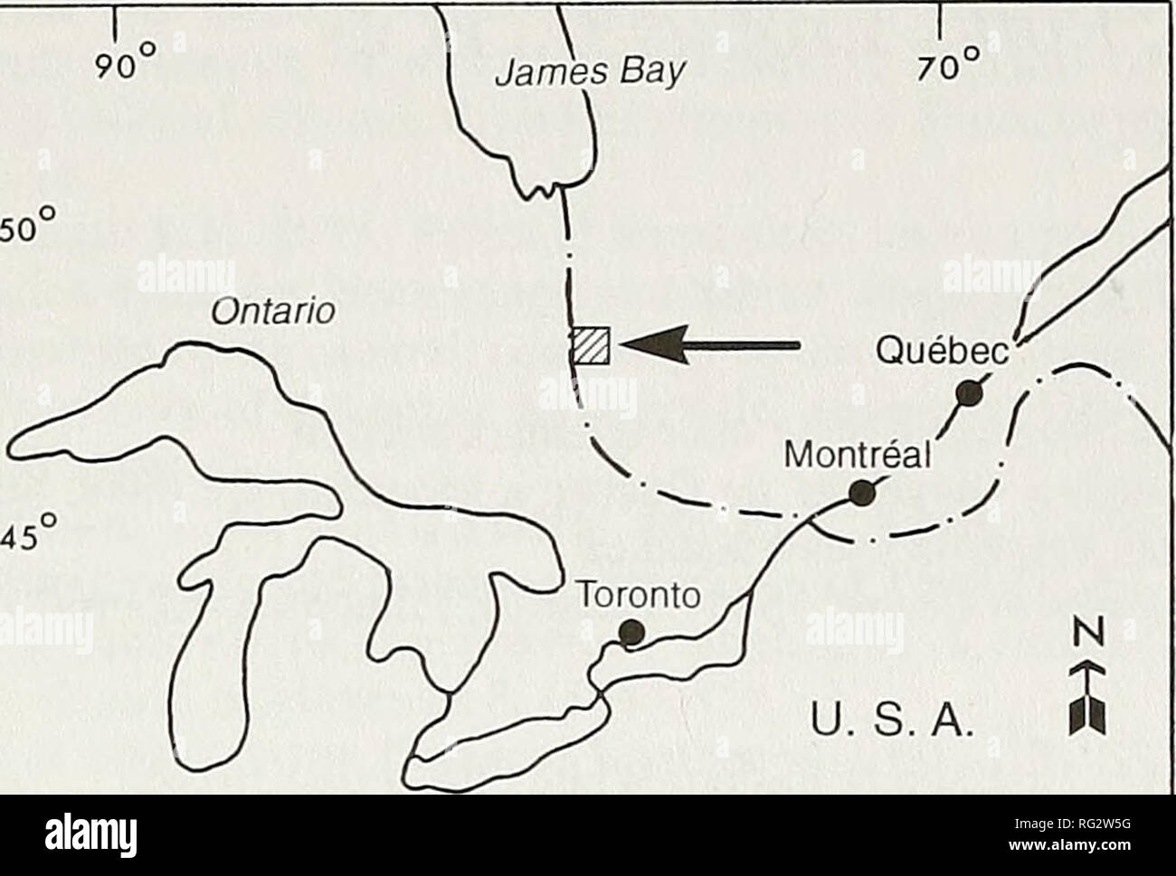 . The Canadian field-naturalist. 602 The Canadian Feeld-Naturalist Vol. 114. Figure 1. Map showing the location of the Lake Abitibi area, which represents the present northern Hmit of Piniis strobus in eastern Canada. myrtilloides and Chamaedaphne calyculata, and Cladonia spp. dominated in the bottom layer, while V. angustifolium, V. myrtilloides and Ledum groen- landicum dominated in SI9. Exposed rock was pre- sent to about 25% at all sites. Methods In July 1994, one sample plot within each stand was selected for data collection. The aim to sample a minimum of 130 pines in each stand resulted Stock Photo