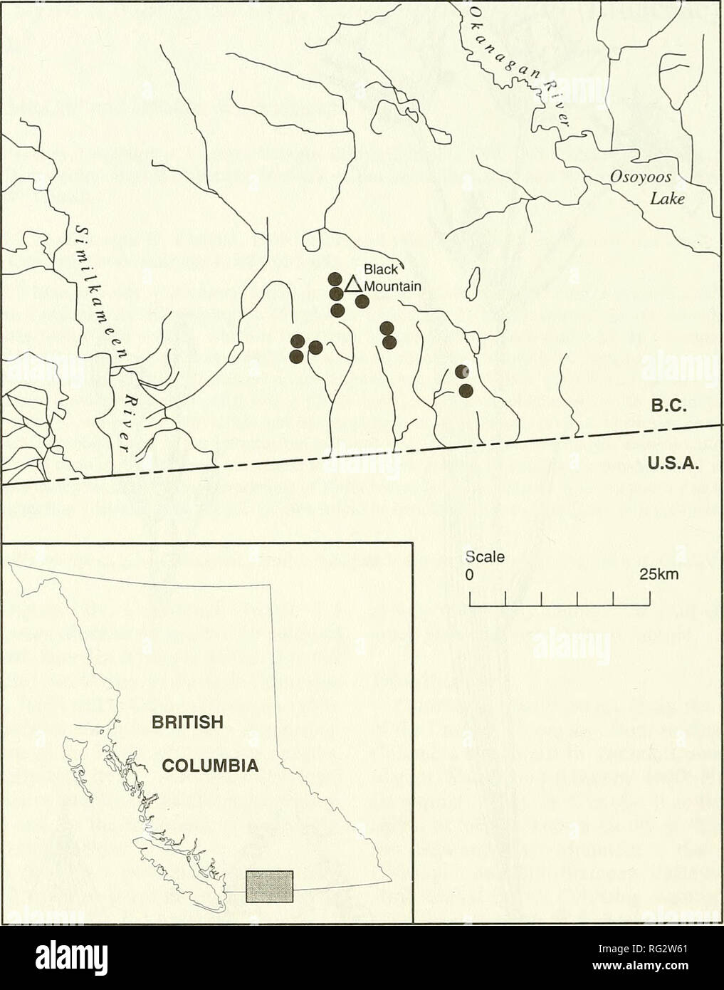 . The Canadian field-naturalist. 654 The Canadian Field-Naturalist Vol. 113. Figure 2. Distribution of Calochortiis lyallii in British Columbia. (• - recently confirmed sites) grasses commonly associated with Calochortus lyallii are Junegrass (Koeleria micrantha) and Pinegrass {Calamagrostis rubescens). Common forbs include Death Camass (Zygadenus venonosus). Yellow Bell (Fritillaria pudica), Arrowleaf Balsamroot (Bal- samorhiza sagittata). Silky Lupine {Lupinus sericeus), and Blue-eyed Mary (Collinsio pannflora). On drier sites, BitteiToot {Lewisia rediviva) and Big Sagebrush {Artemisia tride Stock Photo