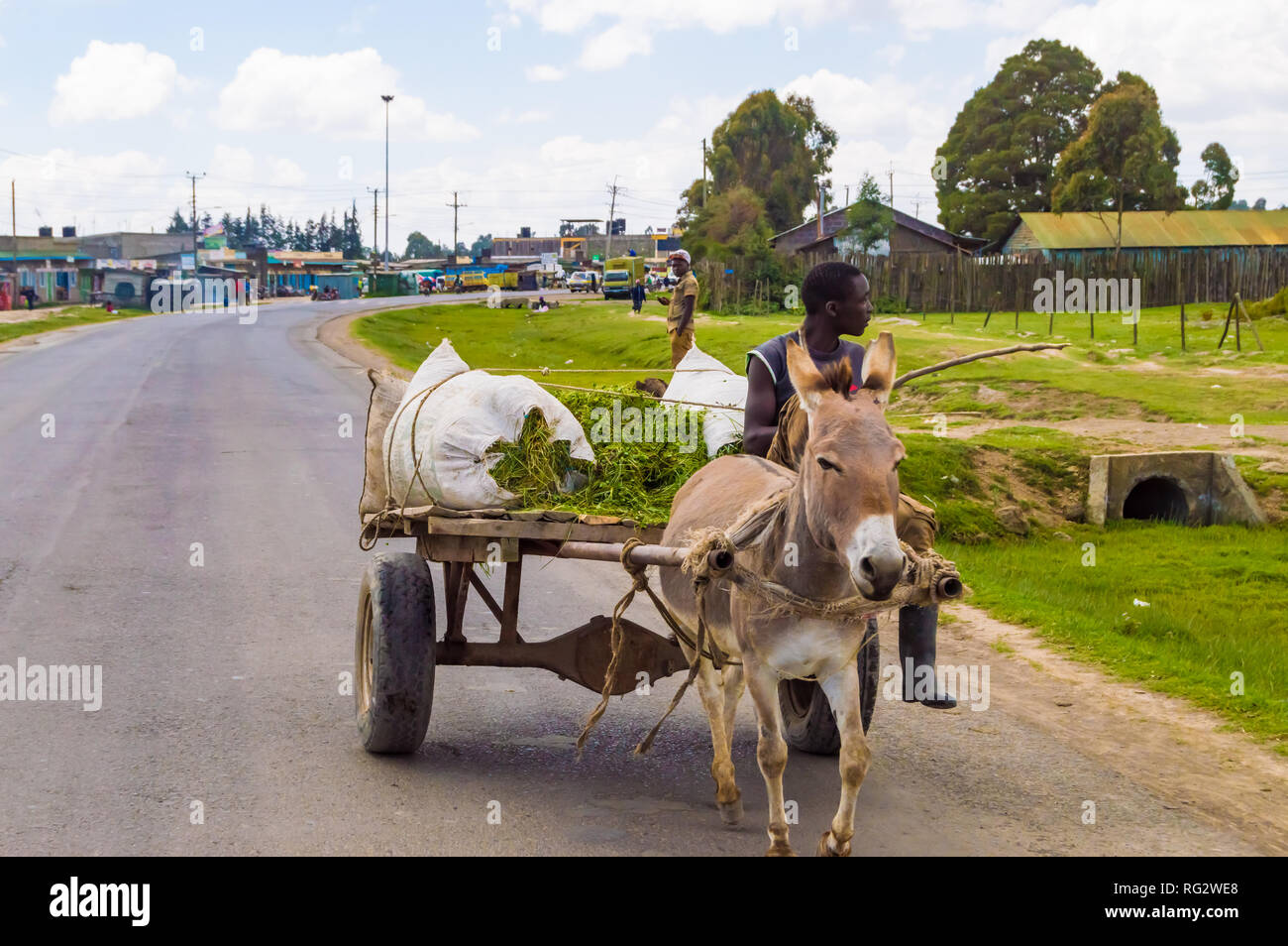 KENYA, THIKA - 03 JANVIER 2019 :Young Kenyan farmer on a wooden cart Stock Photo