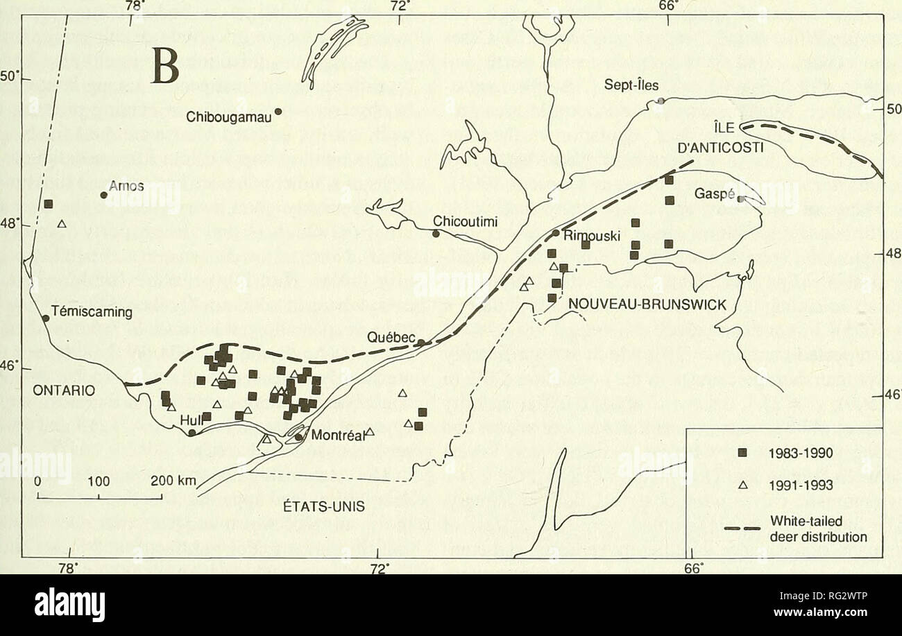 . The Canadian field-naturalist. . Figure 1. (A) Location of current hunting zones in southern Quebec; (B) Northern limit of the White-tailed Deer range in winter, and location of reported Moose showing signs of infection by the meningeal worm during the 10-year peri- od 1983-1992.. Please note that these images are extracted from scanned page images that may have been digitally enhanced for readability - coloration and appearance of these illustrations may not perfectly resemble the original work.. Ottawa Field-Naturalists' Club. Ottawa, Ottawa Field-Naturalists' Club Stock Photo