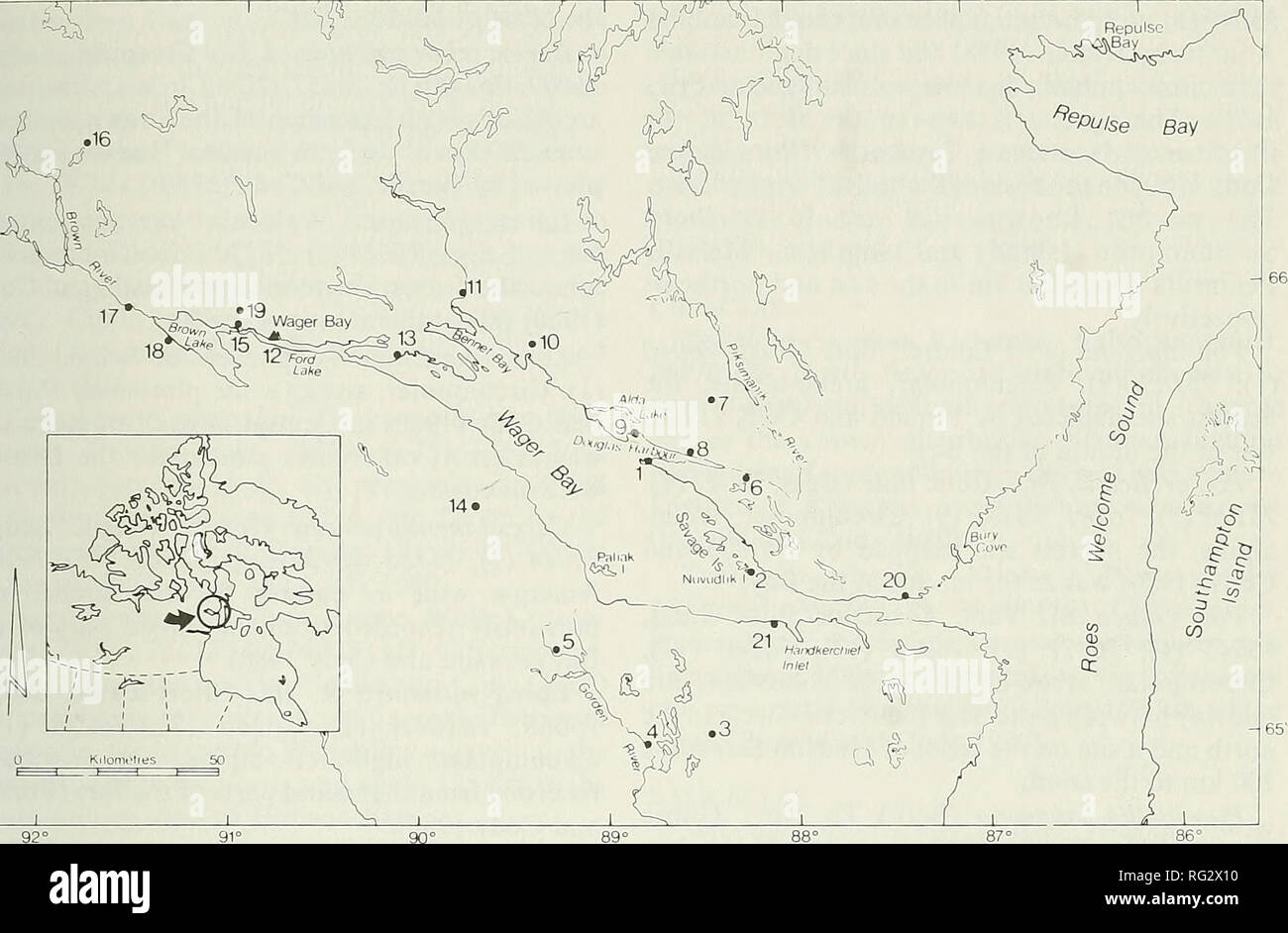 . The Canadian field-naturalist. 1989 Cody, Scotter, and Zoltai: Flora of Wager Bay 553. Figure 1. Locations of survey sites in the Wager Bay region, Northwest Territories. Inset locates region in northern Canada. Dryopteris fragrans (L.) Schott., Fragrant Shield Fern, 76729(2); 76177(9); 76226(12); 76244 (17); 76262 (21). Circumpolar, arctic-alpine; not previously known from the Wager Bay area (Porsild and Cody 1980). Equisetaceae Equisetum scirpoides Michx., Dwarf Scouring- rush, 76261 (20). Circumpolar, low-arctic; this collection from near the mouth of the Bay extends the known distributio Stock Photo