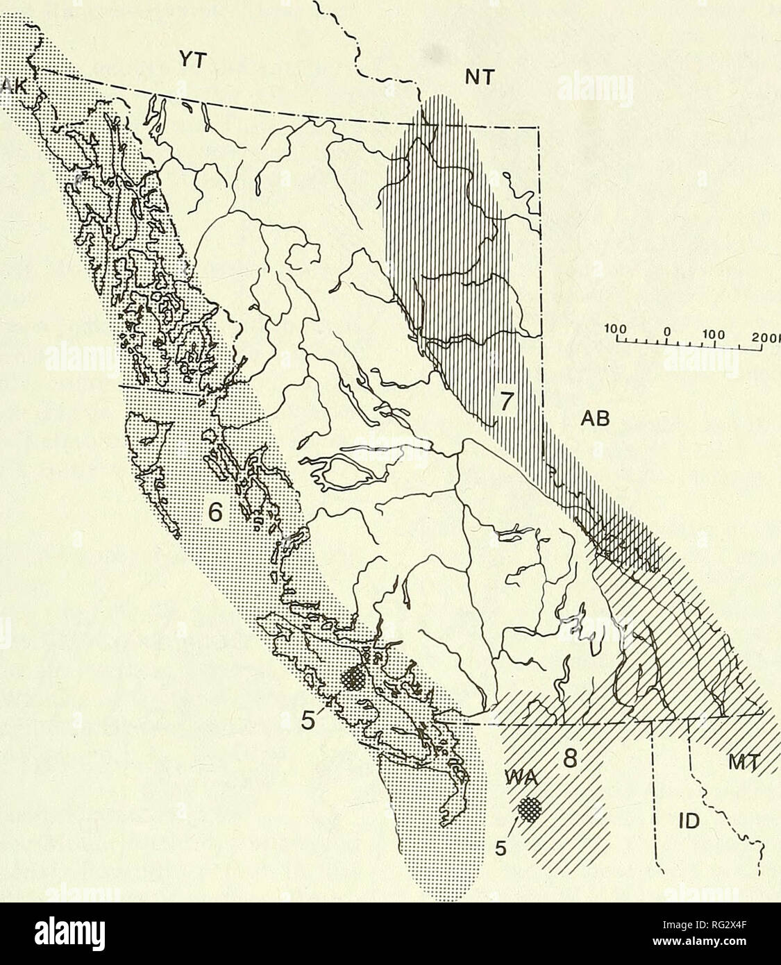 . The Canadian field-naturalist. 1996 Douglas: Endemic Vascular Plants of British Columbia 389. Figure 2. Endemic elements of British Columbia and immmediately adjacent regions. 5 - Vancouver Island Ranges-North Cascades, 6 - North Pacific Coast. 7 - Northern Rocky Mountains, 8 - Cascade Mountains-Rocky Mountains. occurs on the southeast coast of Vancouver Island and in the lower Fraser River Valley. Limnanthes macounii ranges along the southeastern coast of Vancouver Island as well as on some of the adjacent islands. 3. Coast Mountains-North Cascade Mountains- Selkirk Mountains Region This re Stock Photo