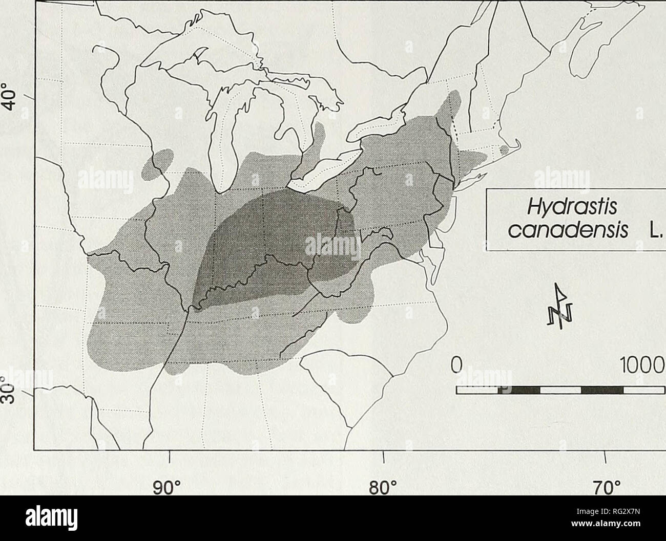 . The Canadian field-naturalist. 114 The Canadian Field-Naturalist Vol. 114. 1000 km Figure 3. Distribution of Goldenseal (Hydrastis canadensis, L.) in North America adapted from Catling and Small (1994) and originally based on Lloyd and Lloyd (1908); Radford, et al. (1964); Crow (1982); Good (1978)*; Porter (1979); Mitchell and Sheviak (1981); and Voss (1985). produced on the rhizome from which a stem grows during the following year. The stem emerges in April, its leaves unfold, and flowers open during stem elongation and leaf expansion in late April and May in southwestern Ontario. The flowe Stock Photo