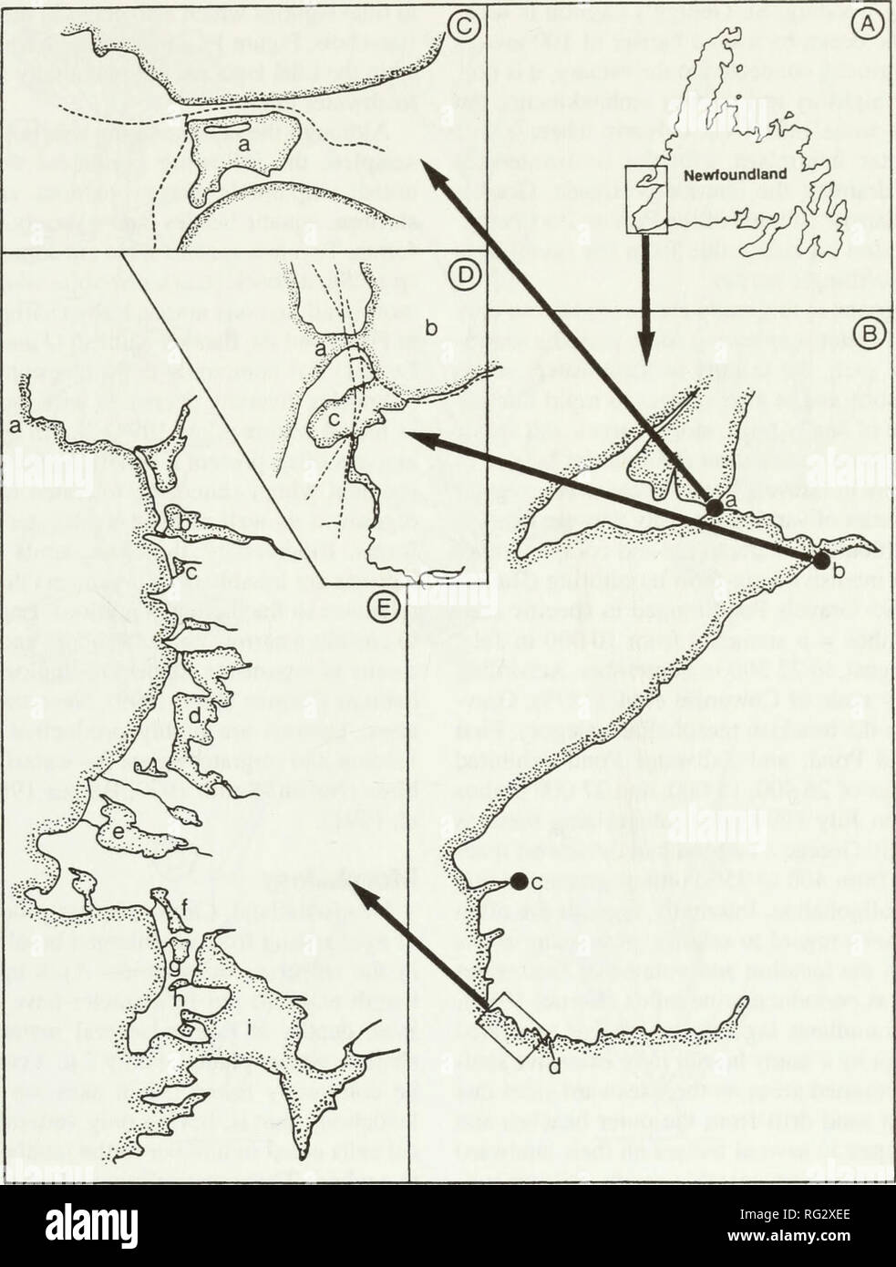 . The Canadian field-naturalist. Natural history; Sciences naturelles. 2005 Mann and Nambudiri: Charophytes of Insular Newfoundland II 27. Figure 1. Location of collection sites in Insular Newfoundland. A. Study area of southwestern Newfoundland inset. B. Coastal Newfoundland from Port aux Basques to the Port au Port Peninsula: (a) Gravels Pond, (b) St. George's Pond, (c) Codroy Estuary Pond, (d) Port aux Basques. C. Isthmus of the Port au Port Peninsula: (a) Gravels Pond. Dashed lines indicate roads. D. St. George's Bay: (a) Main Gut, (b) Estuary, (c) St. George's Pond. Dashed lines indicate  Stock Photo