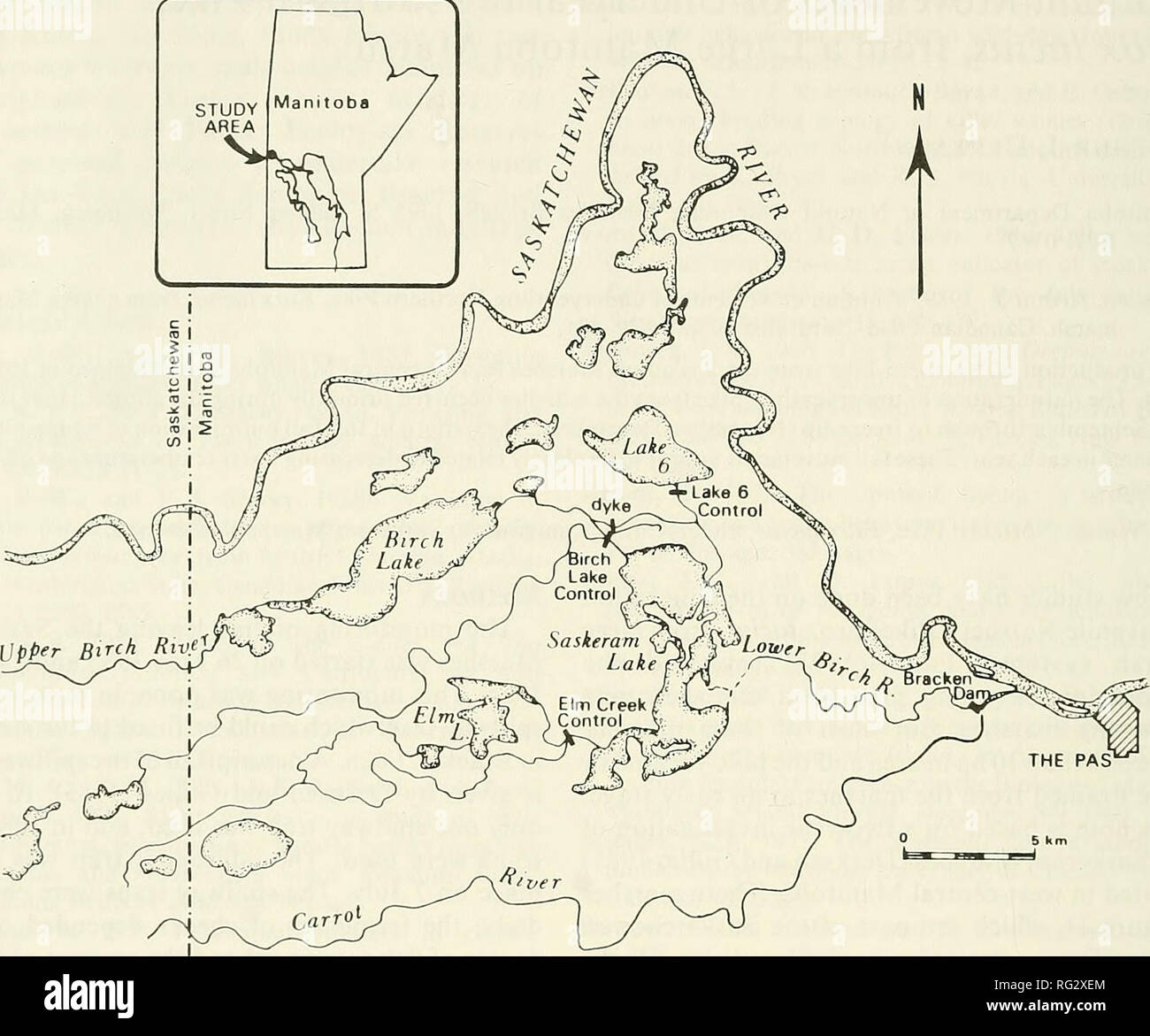 . The Canadian field-naturalist. 430 The Canadian Field-Naturalist Vol. 103. Figure 1. The Saskeram Marshes, bounded by the Saskatchewan and Carrot rivers, in west-central Manitoba. pike could be readily distinguished from yearling and older pike on the basis of size alone. This was confirmed by observations on the seasonal growth of young-of-the-year pike. In the two years of study, young-of-the-year pike constituted 97% of the combined annual catches of pike. The daily catches of underyearling pike in each year were grouped into 5-day periods and expressed as means. These means were plotted  Stock Photo